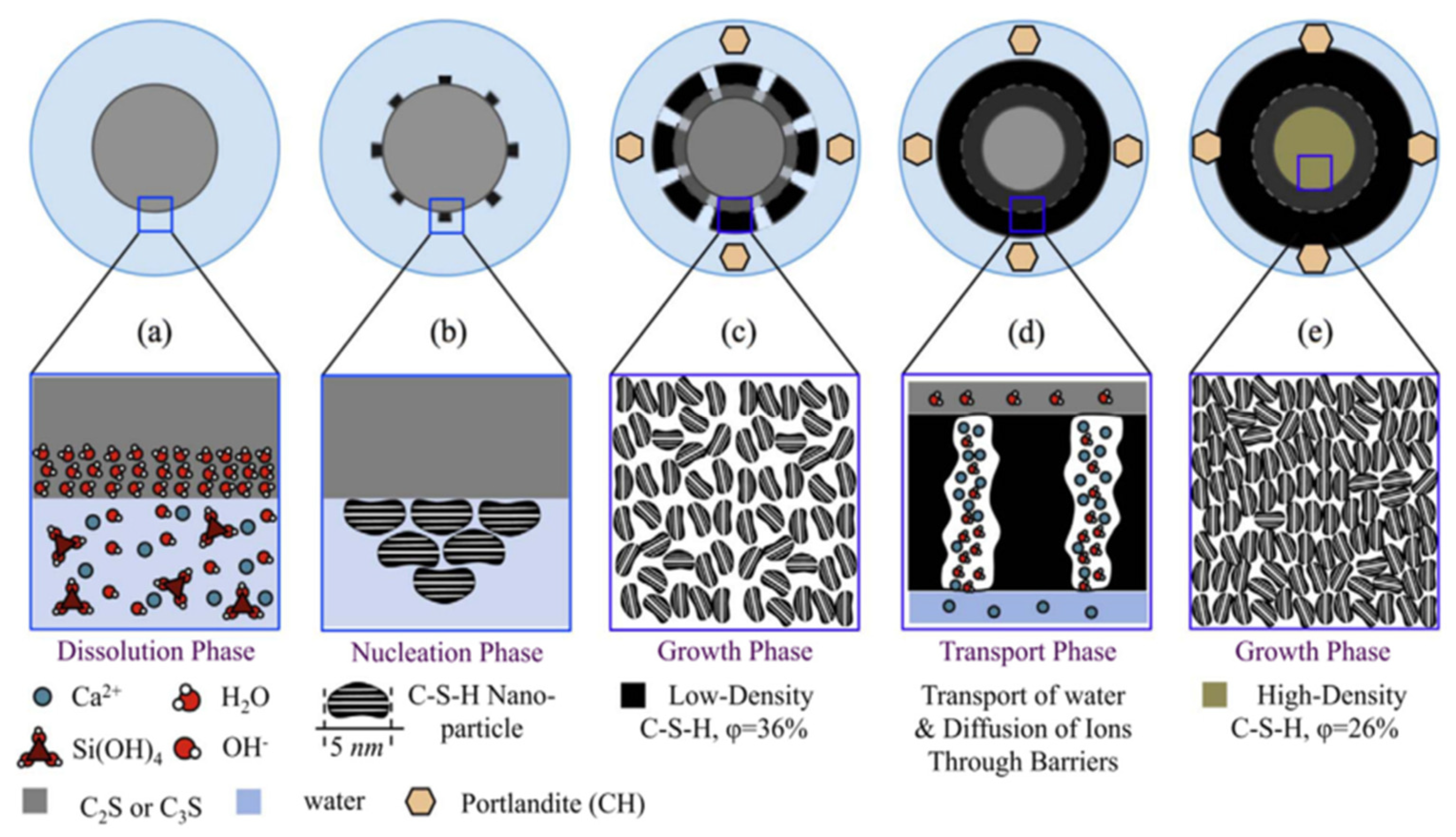 Molecules 29 01260 g009
