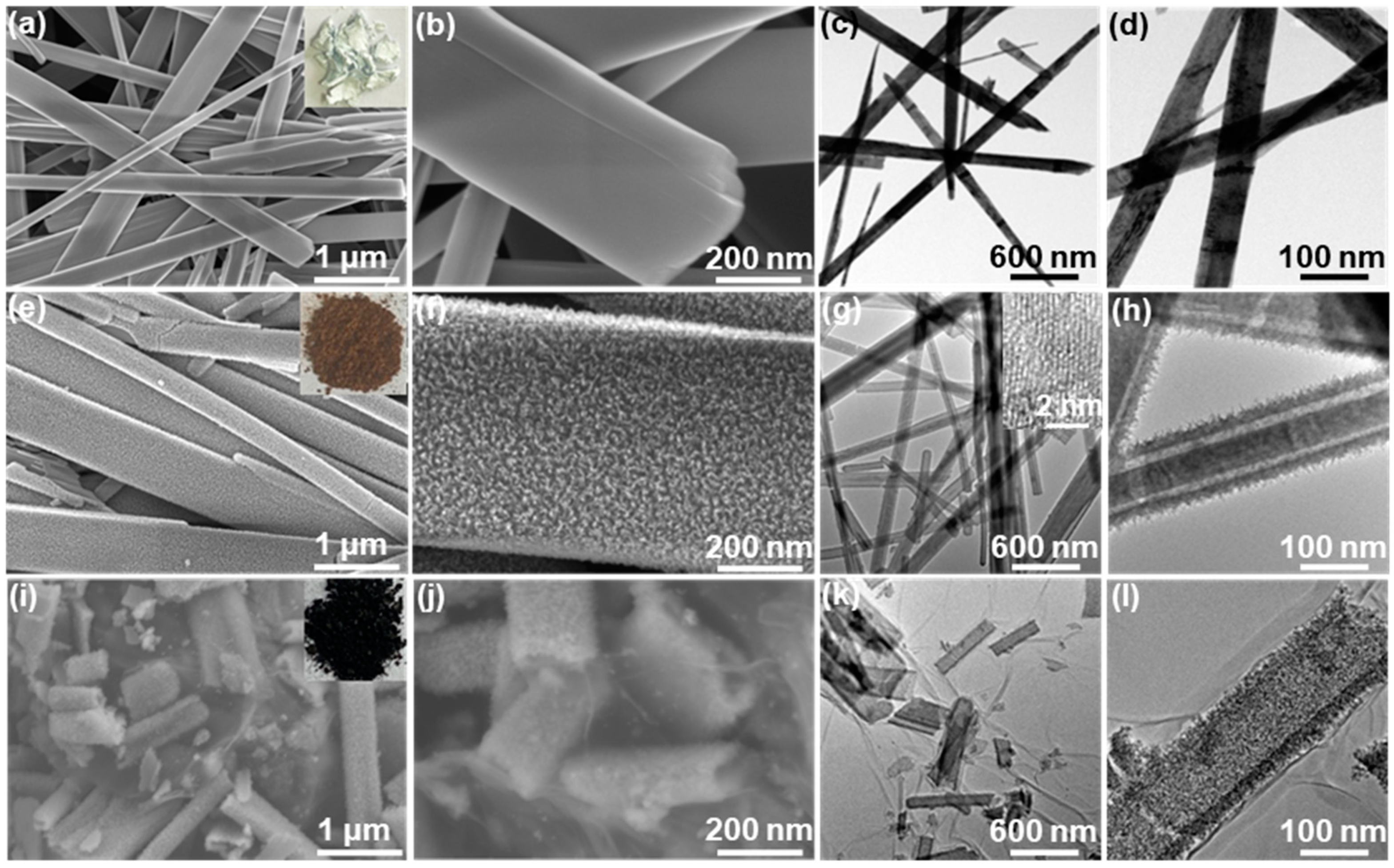 Molecules 29 01262 g002