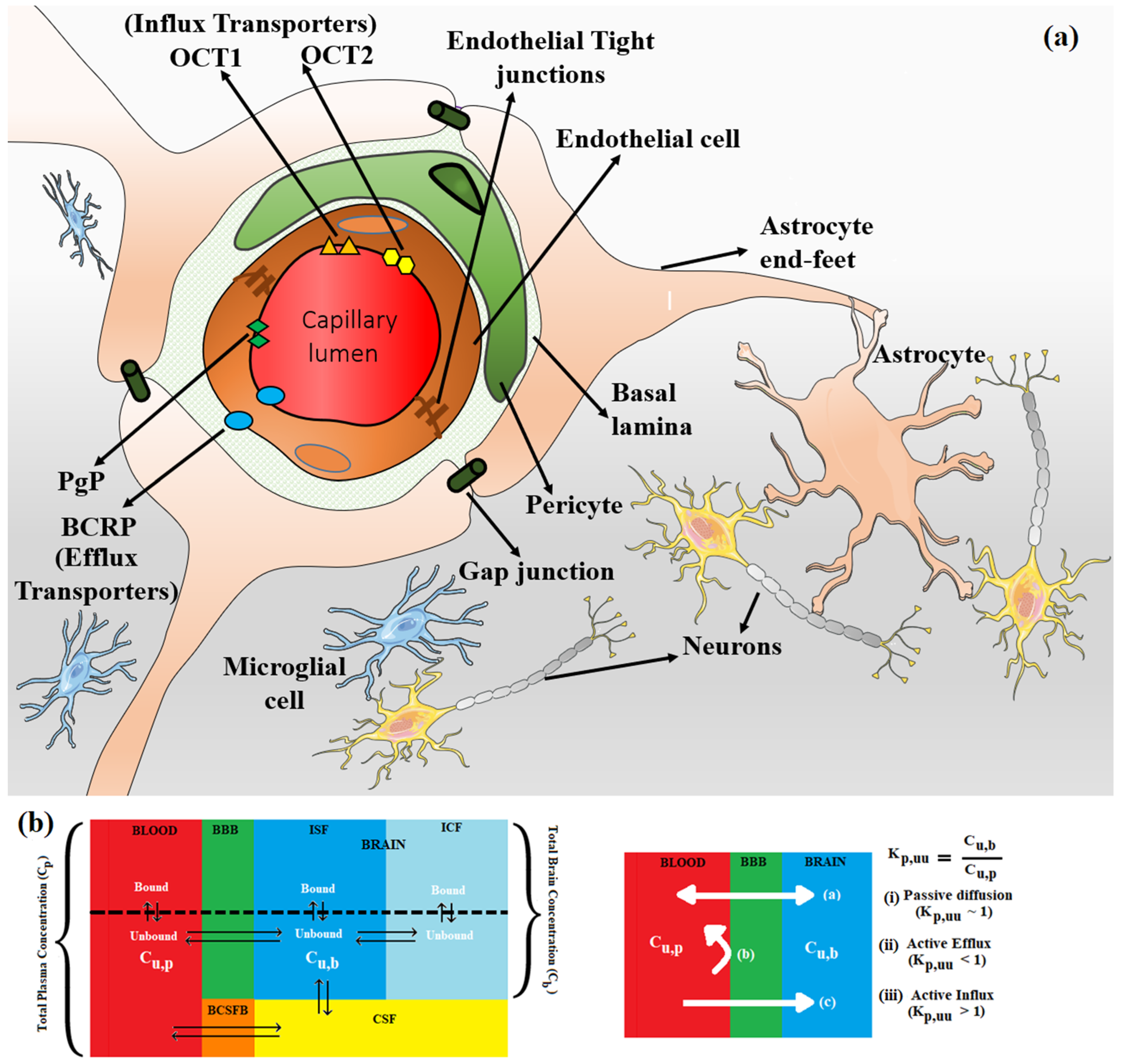Molecules 29 01264 g001 Molecules 29 01264 g001