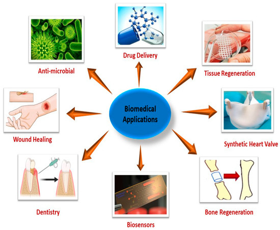 Recent Advances in Polymer Nanocomposites: Unveiling the