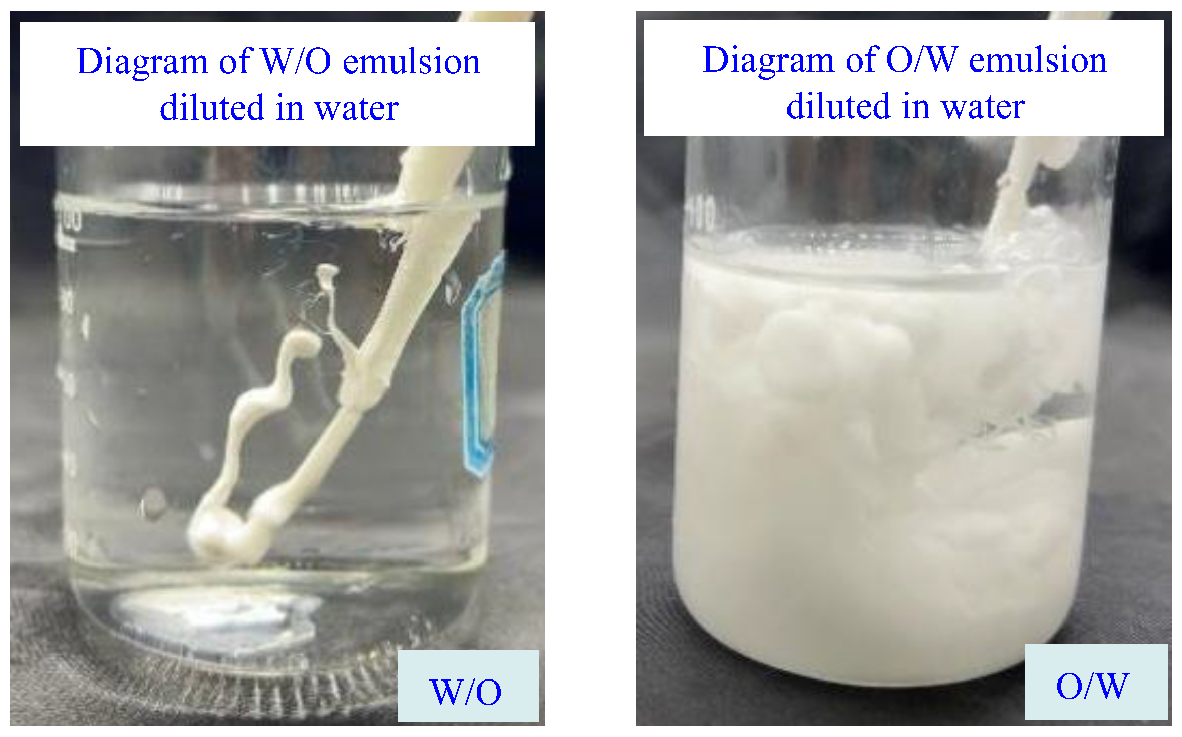Molecules 29 01269 g004