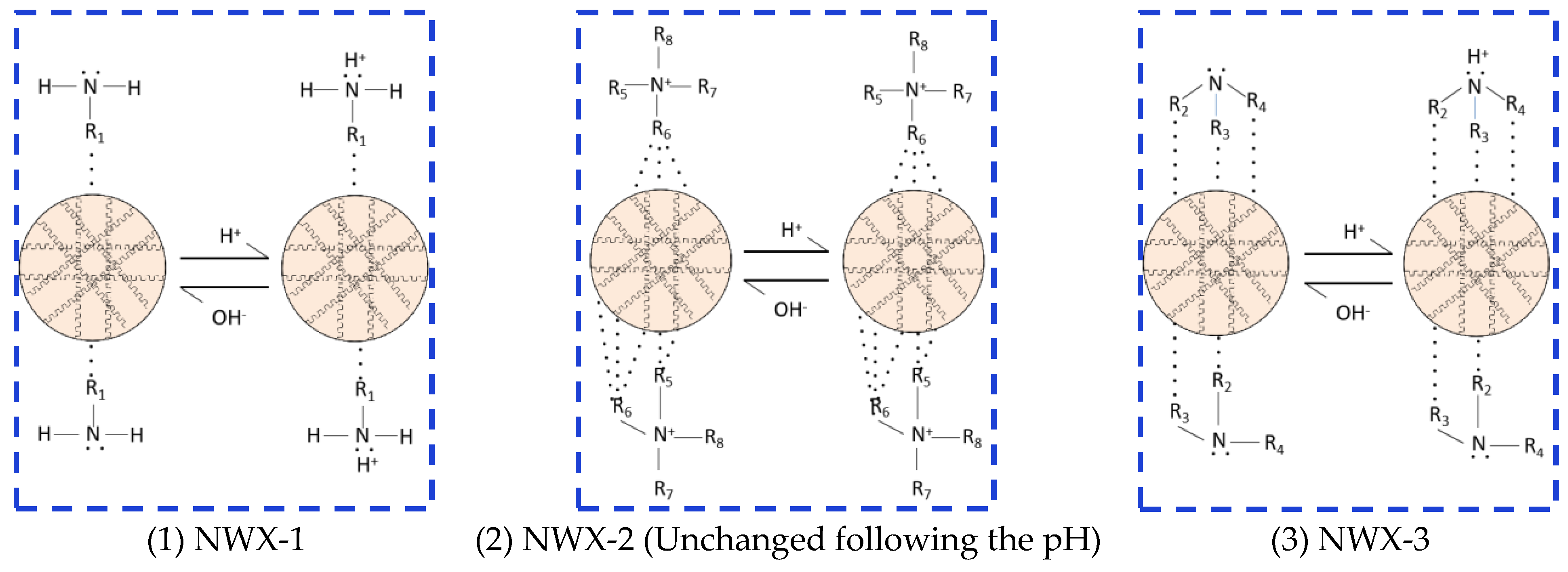 Molecules 29 01269 g005