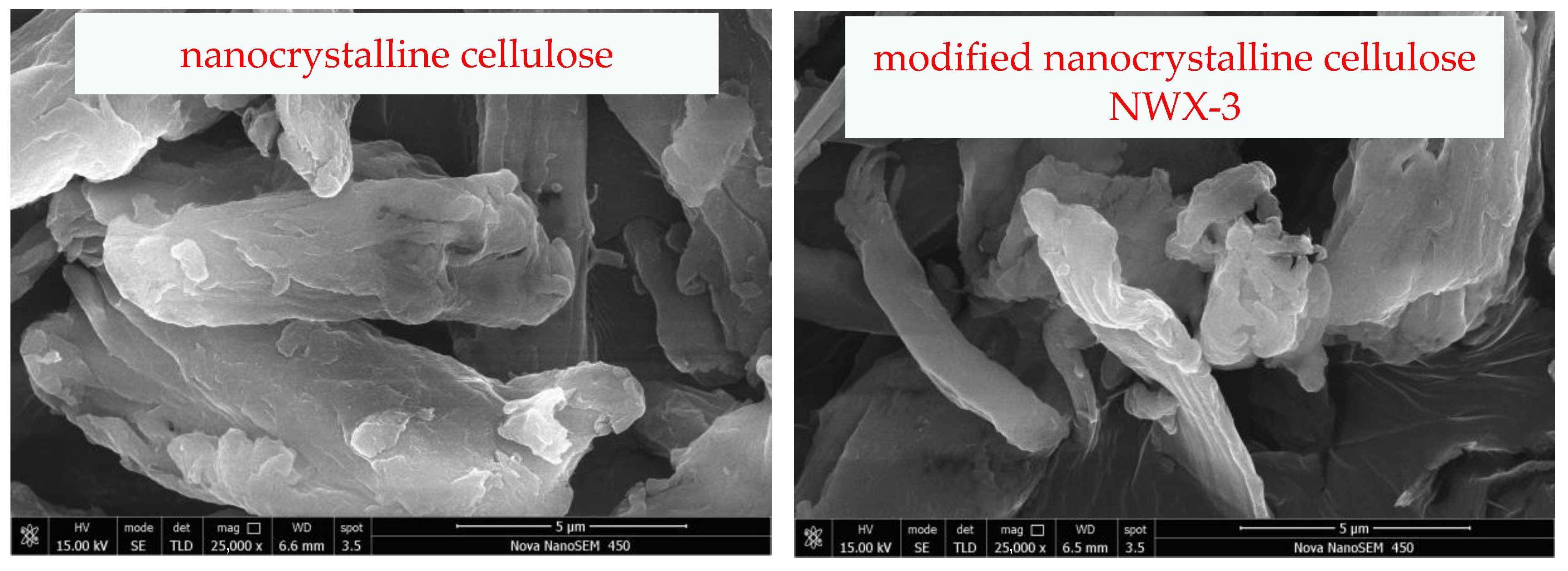 Molecules 29 01269 g006