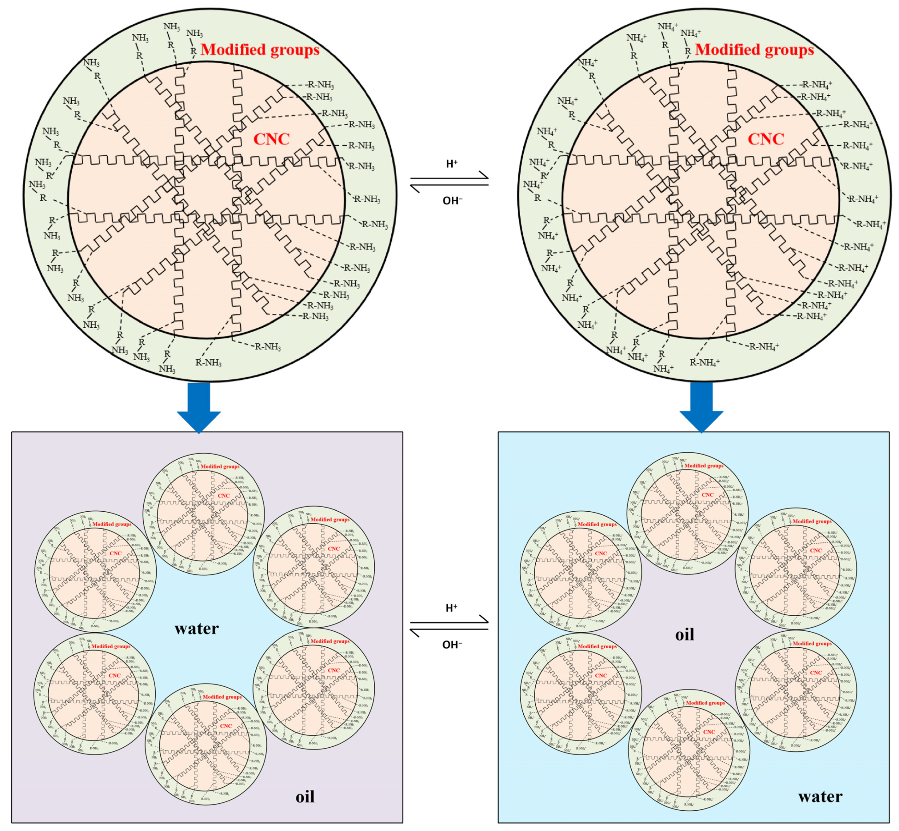 Molecules 29 01269 g007