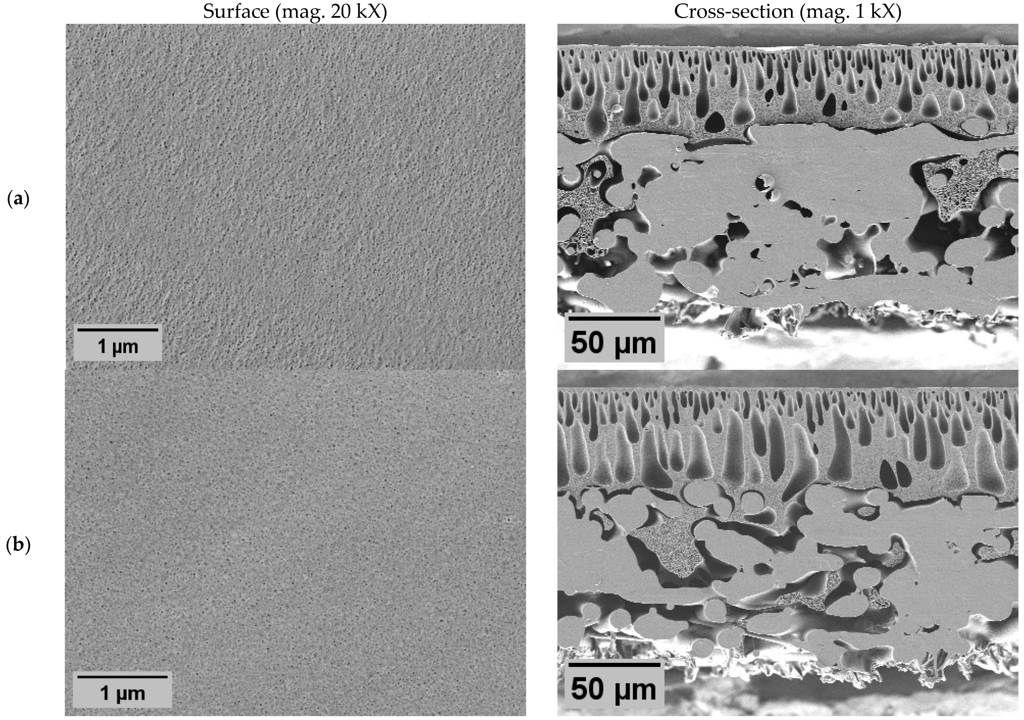 Molecules 29 01274 g001