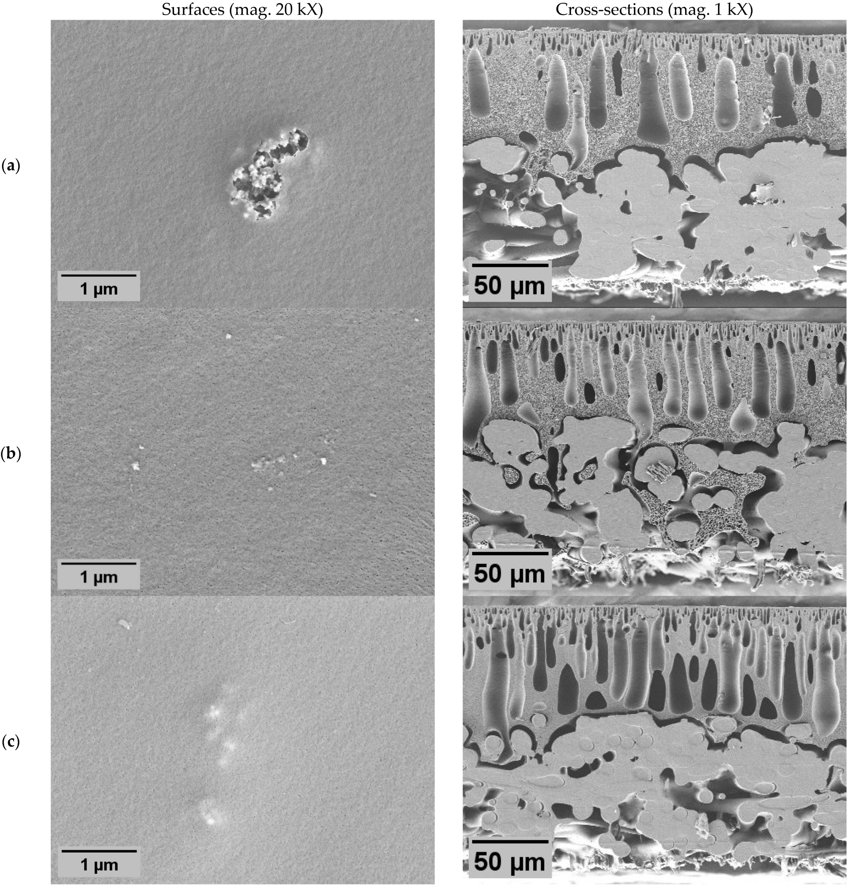Molecules 29 01274 g002