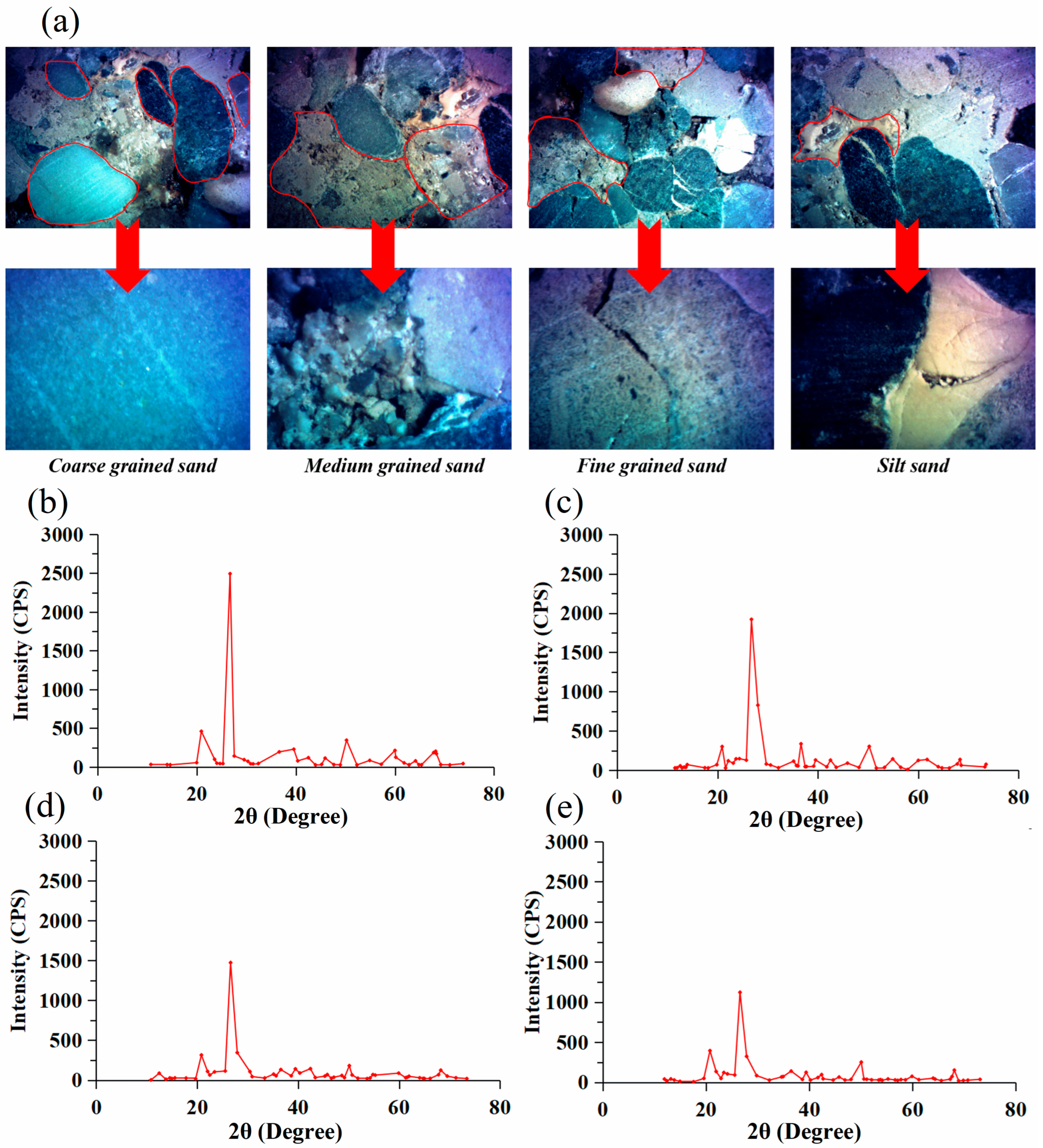 Molecules 29 01278 g001