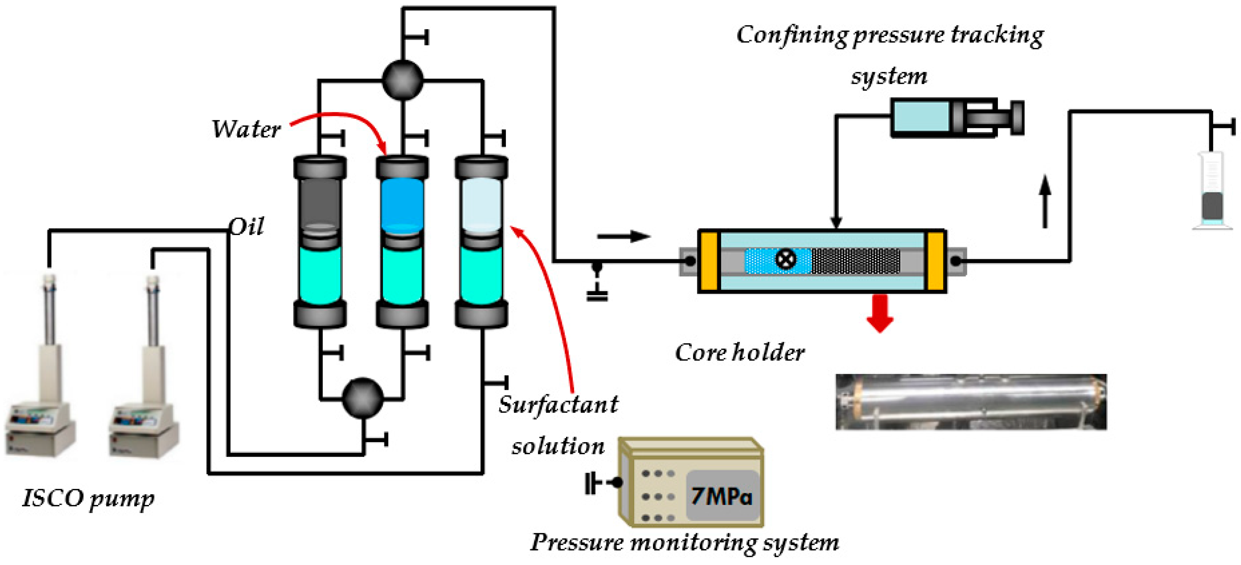 Molecules 29 01278 g012