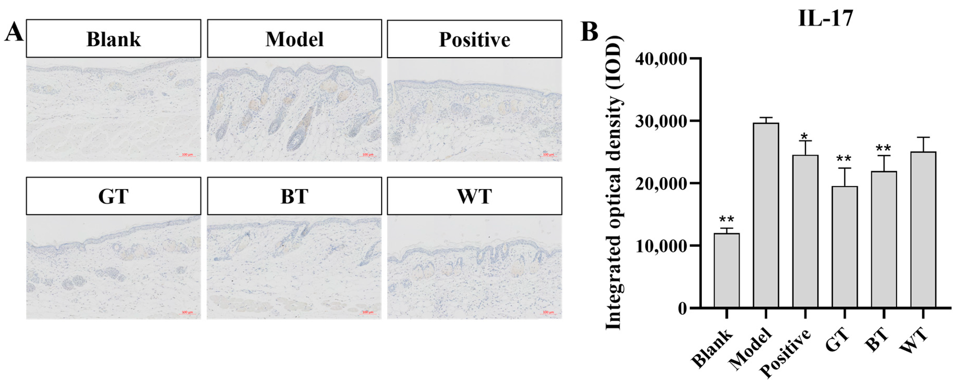 Molecules 29 01279 g004