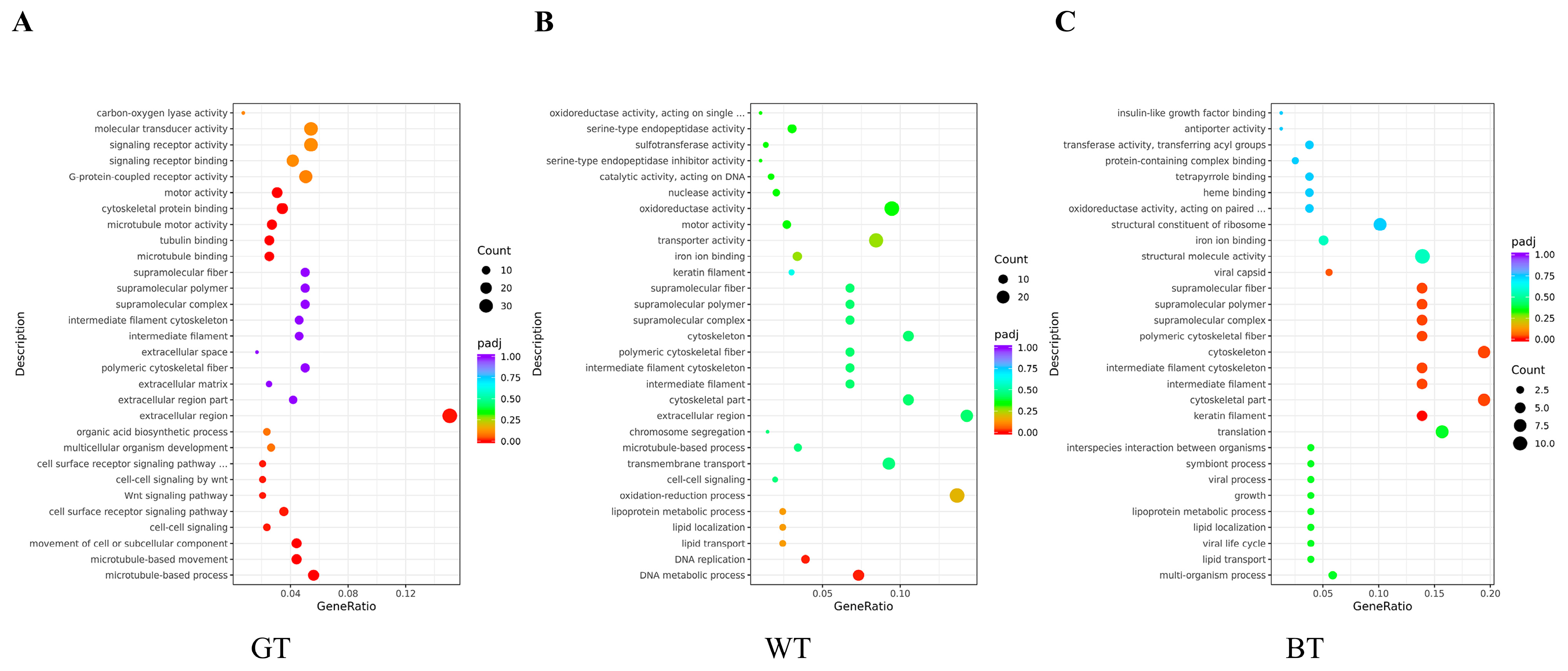 Molecules 29 01279 g010
