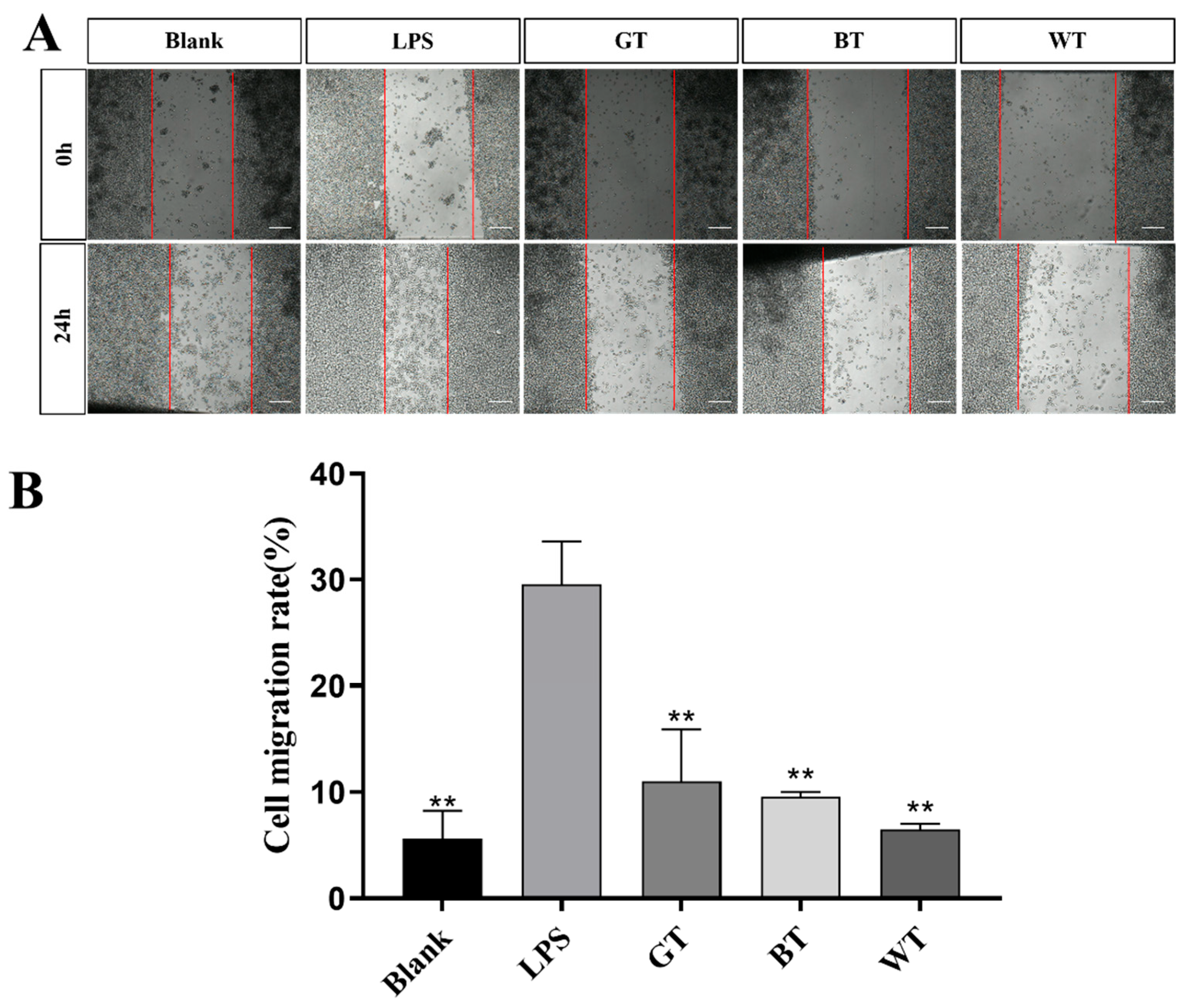 Molecules 29 01279 g015