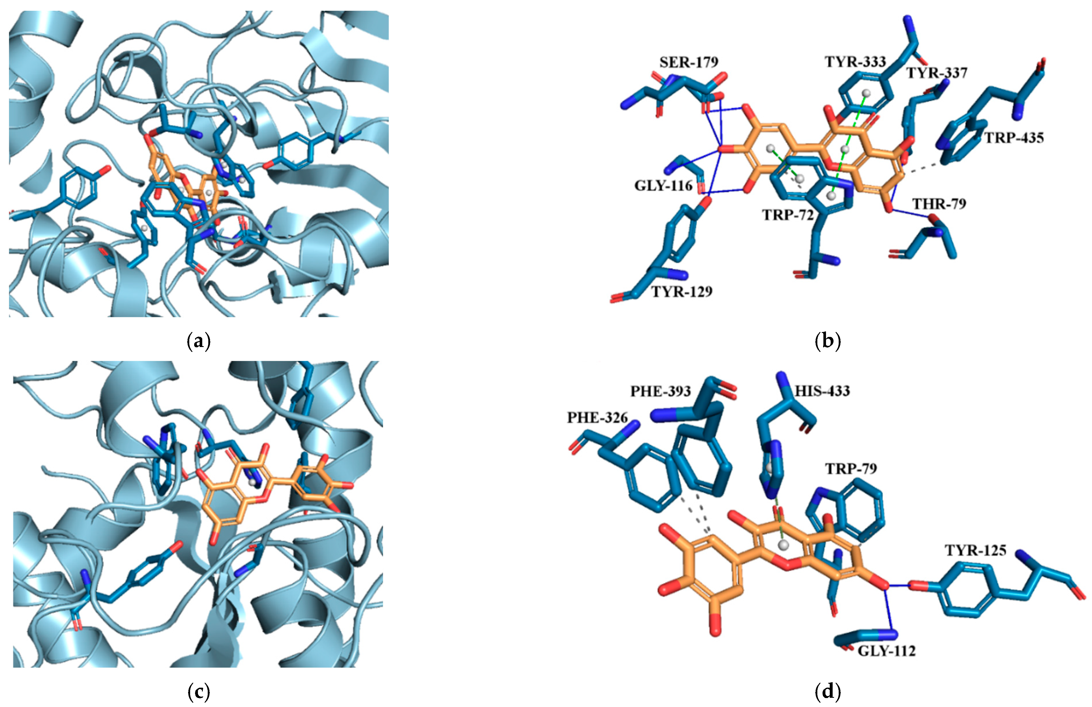 Molecules 29 01287 g008