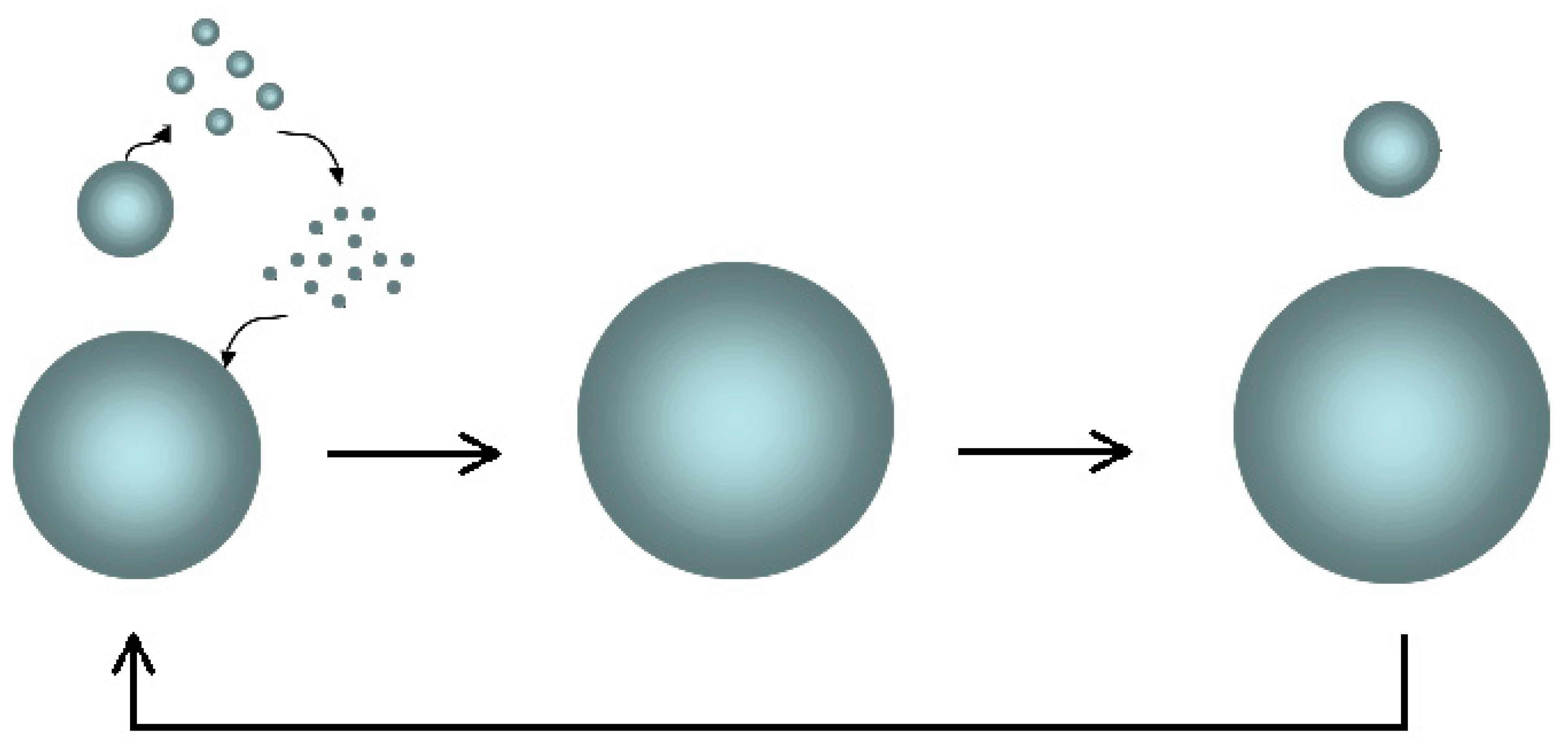 Molecules 29 01293 g009