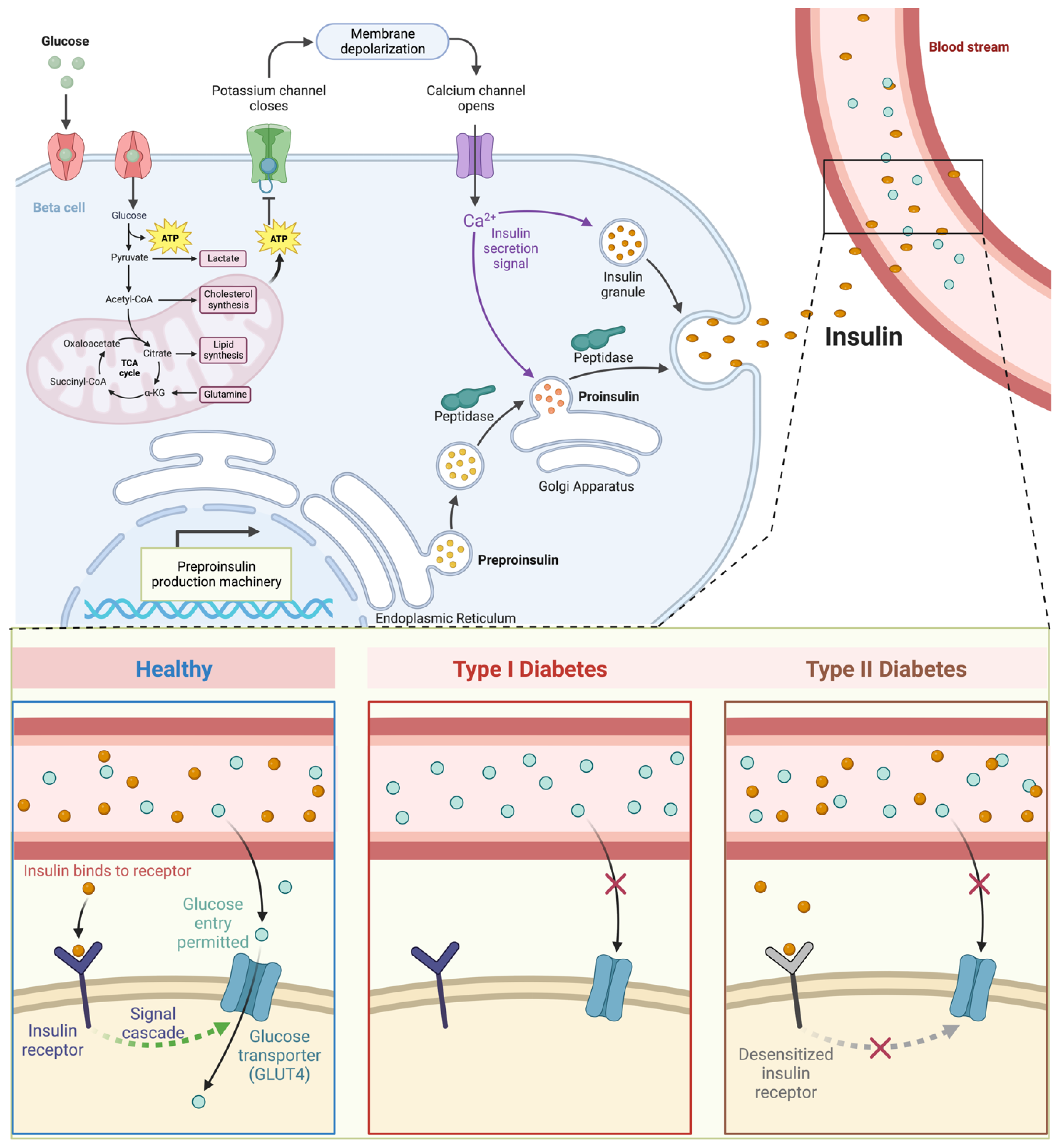 Molecules 29 01294 g002