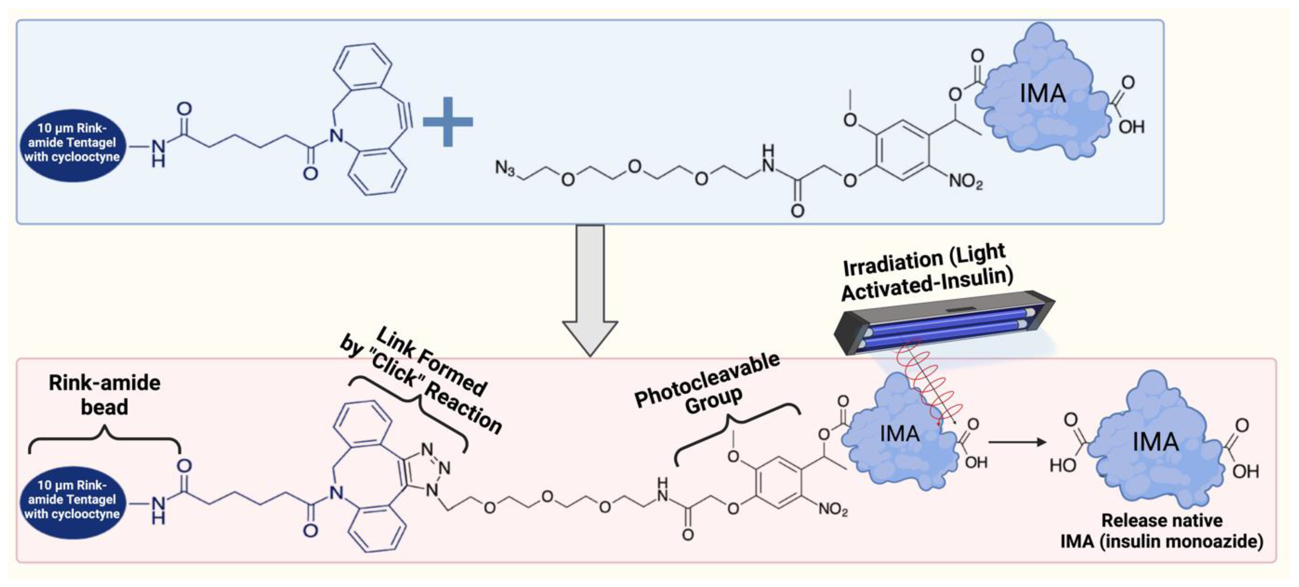 Molecules 29 01294 g005