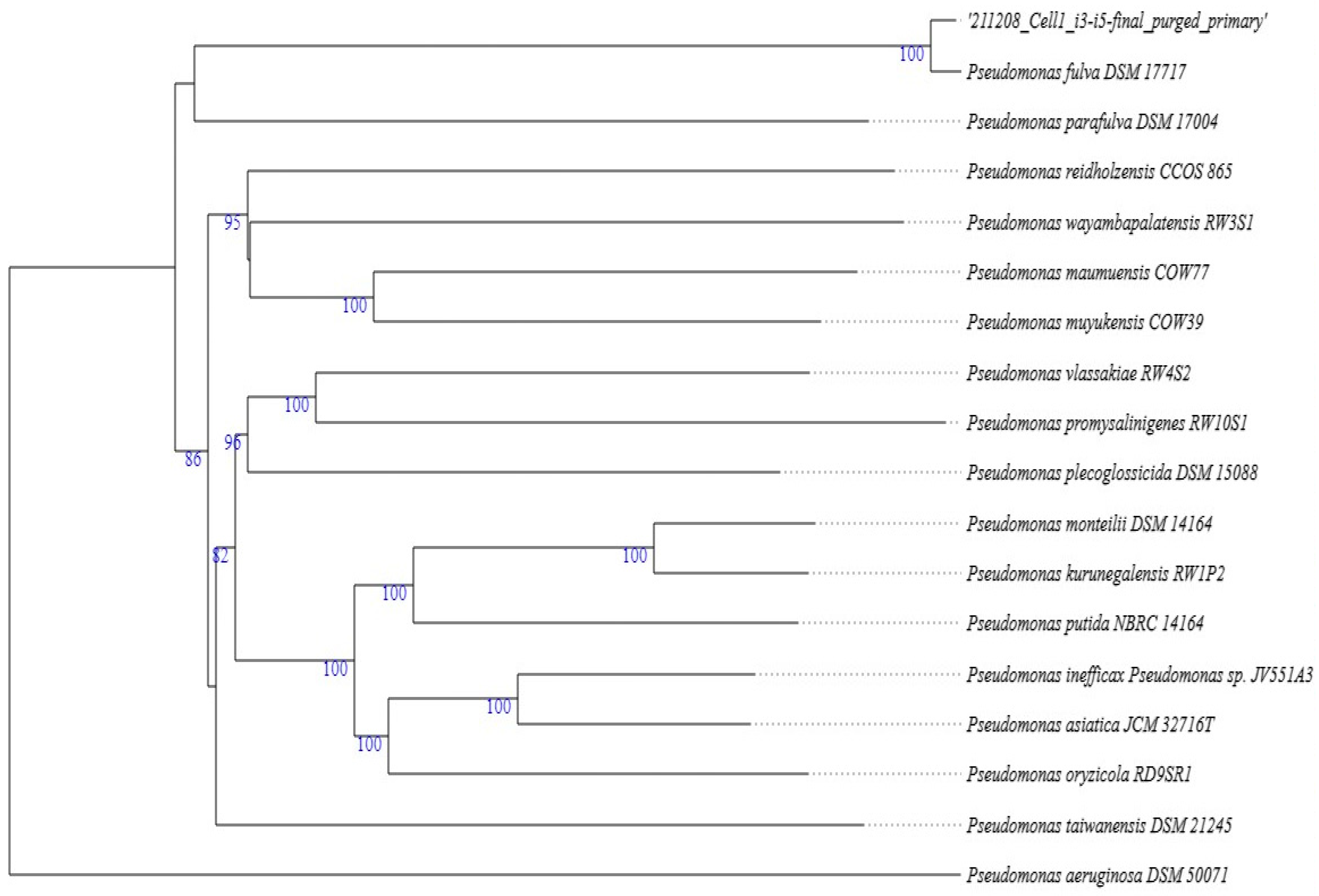 Molecules 29 01297 g004