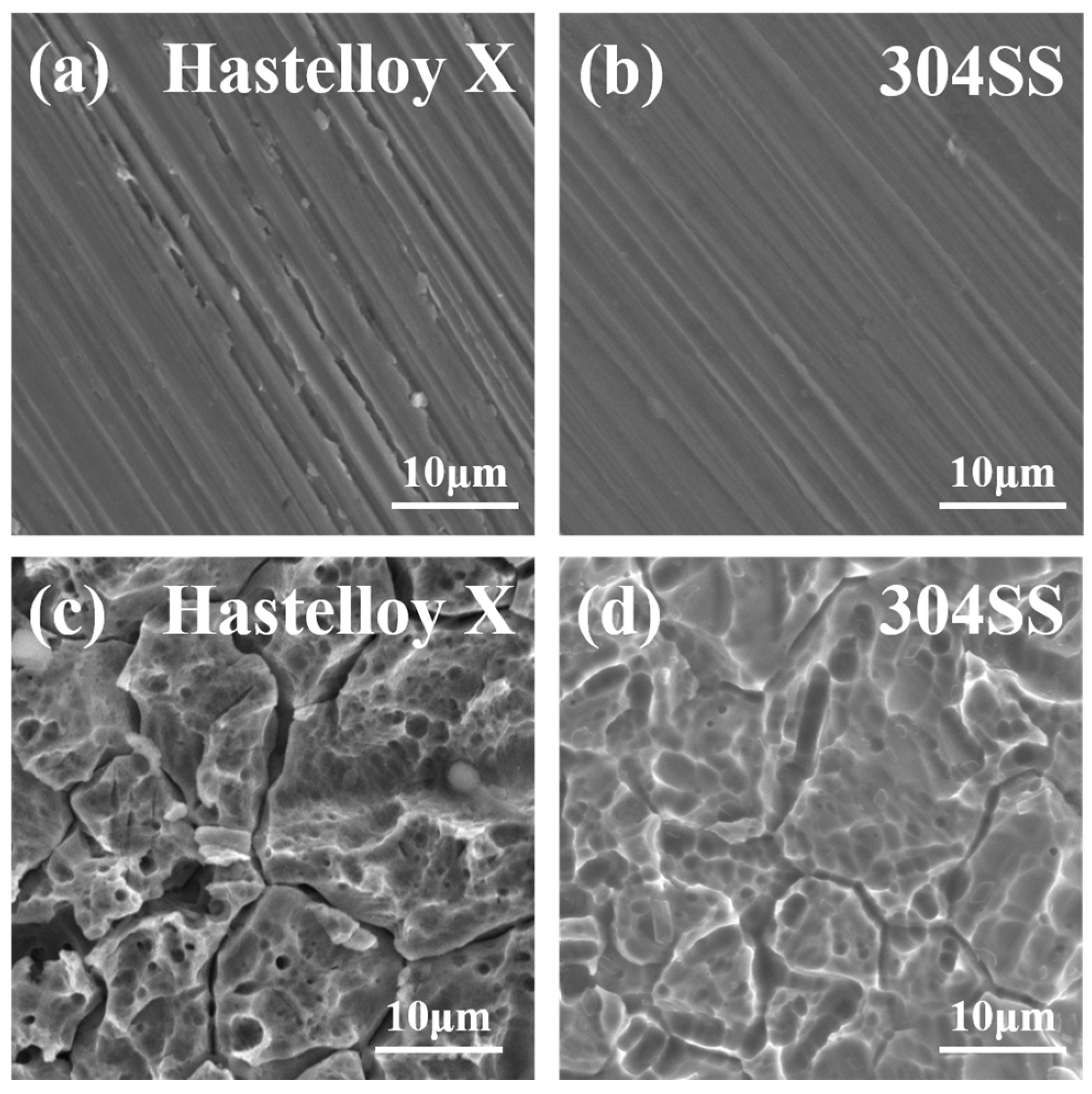 Molecules 29 01299 g003