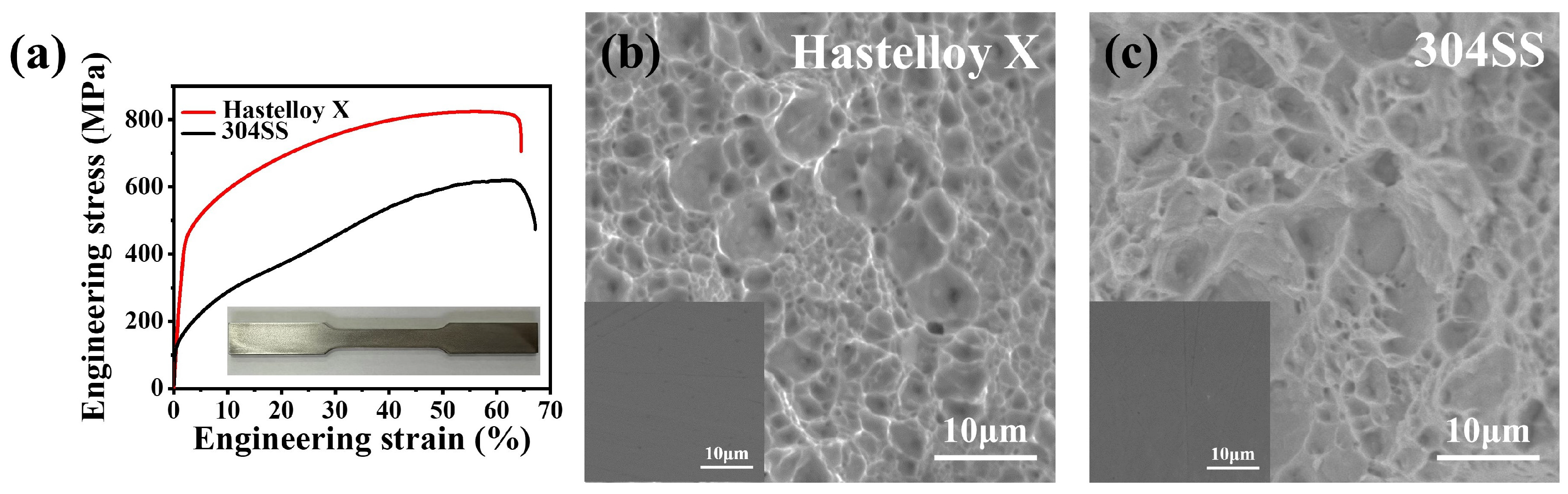 Molecules 29 01299 g006