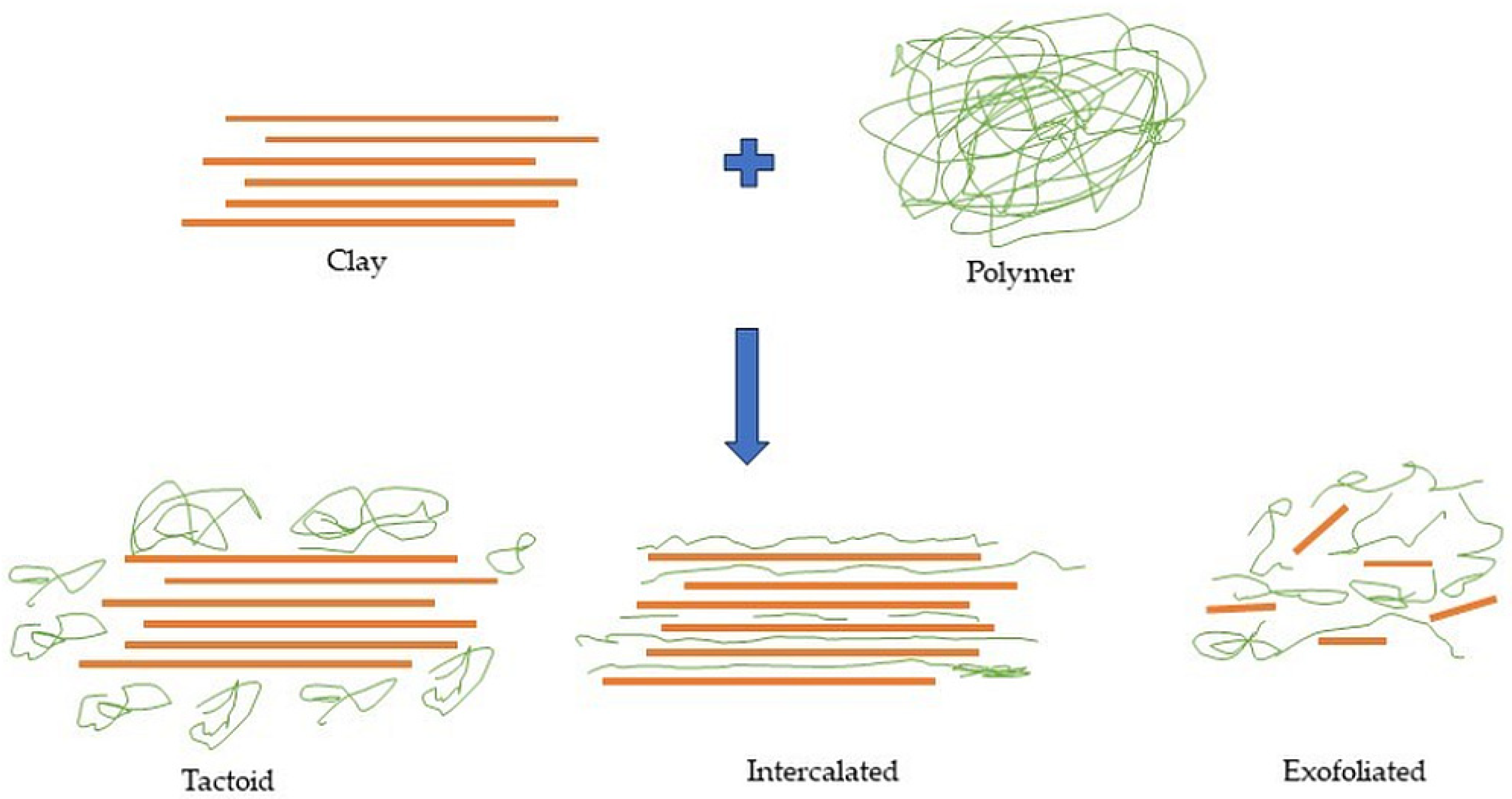 Molecules 29 01306 g001