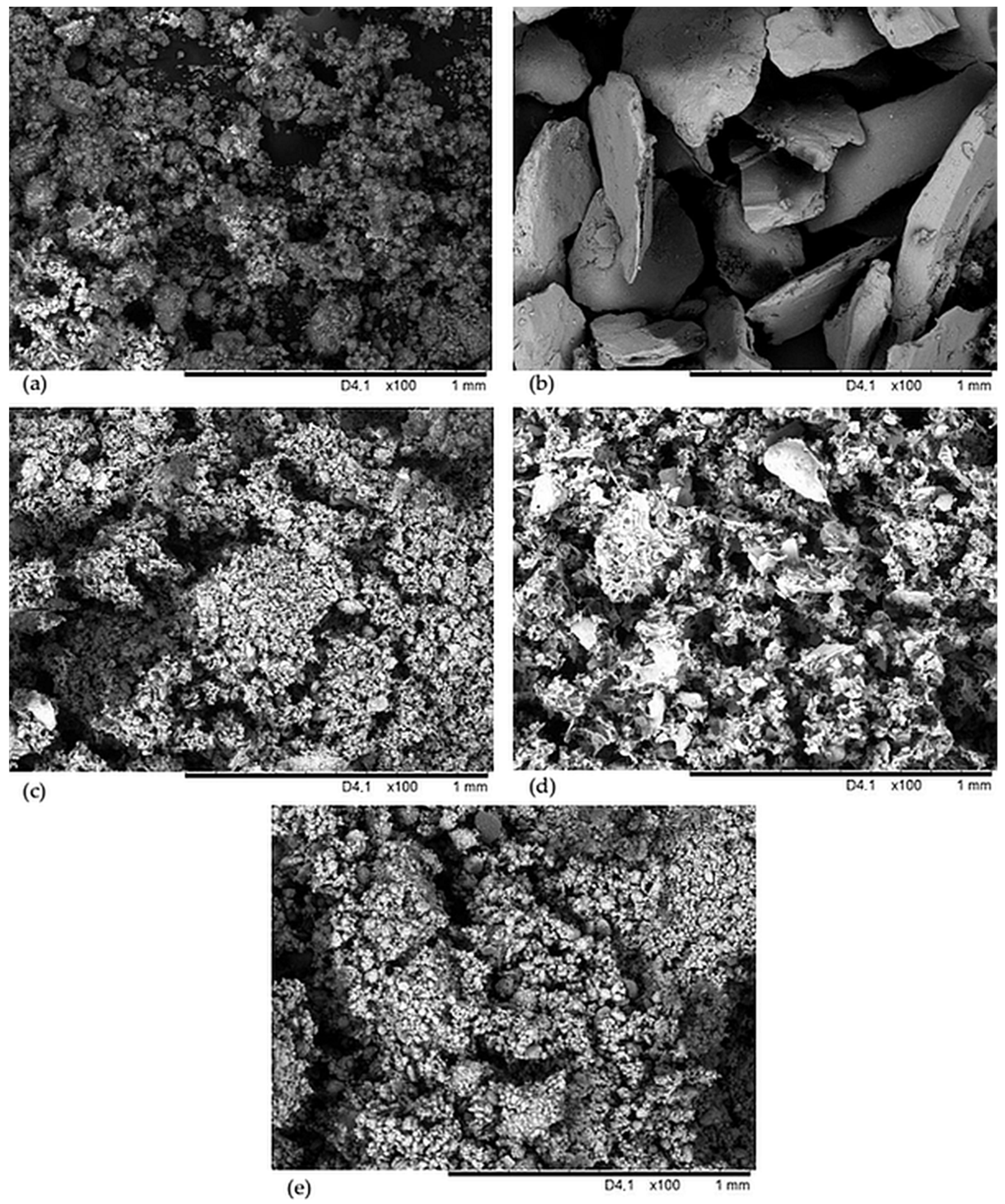 Molecules 29 01306 g002