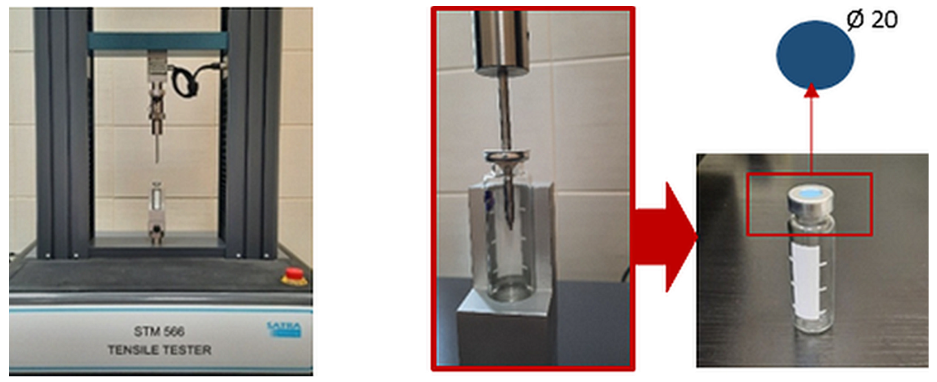 Molecules 29 01306 g009