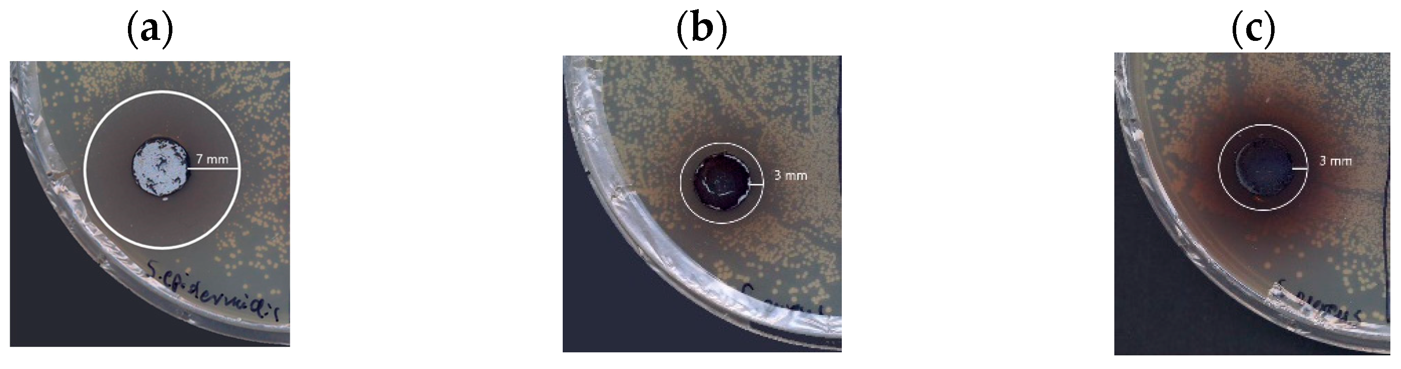 Molecules 29 01310 g008
