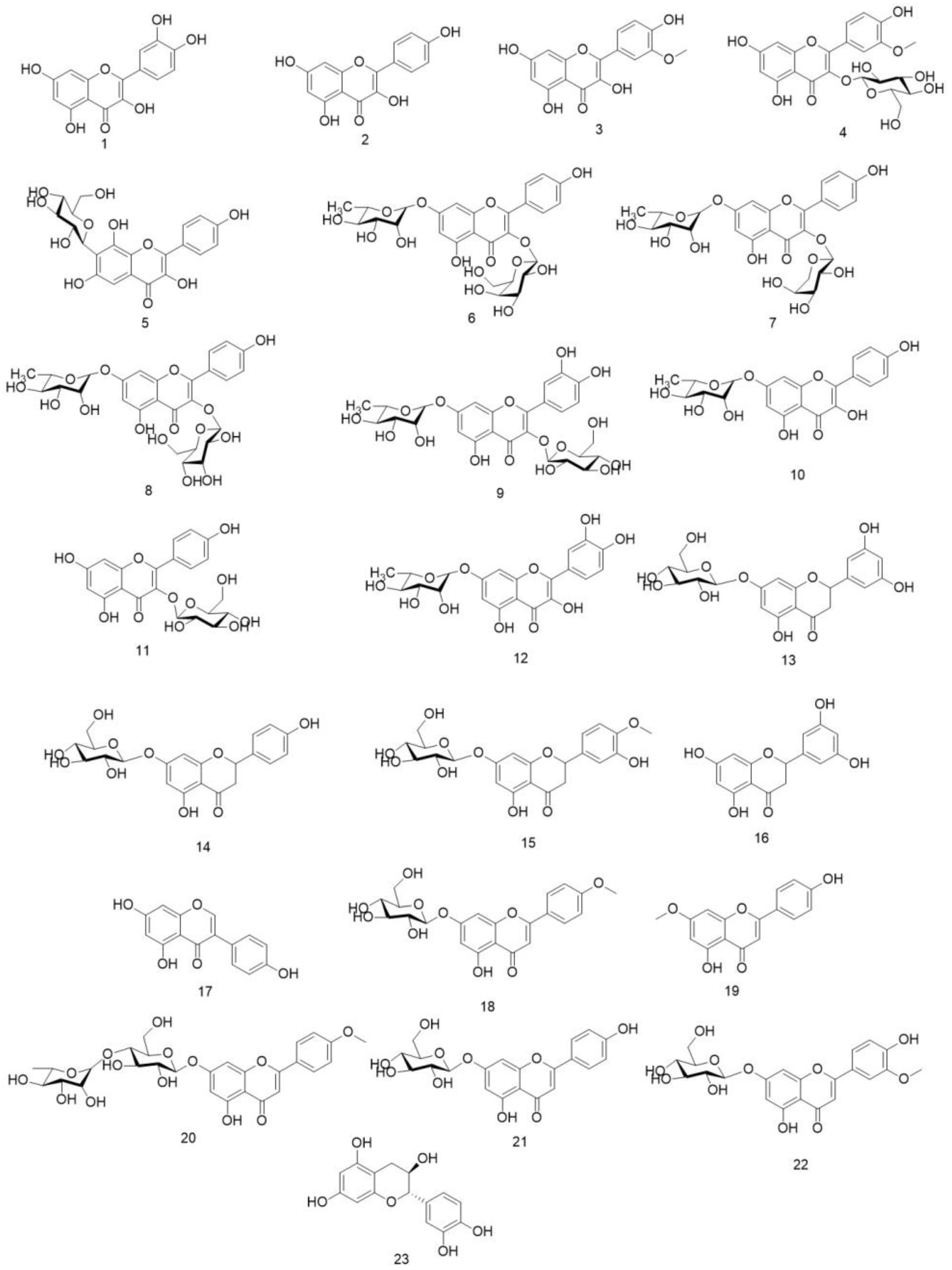 Molecules 29 01314 g002