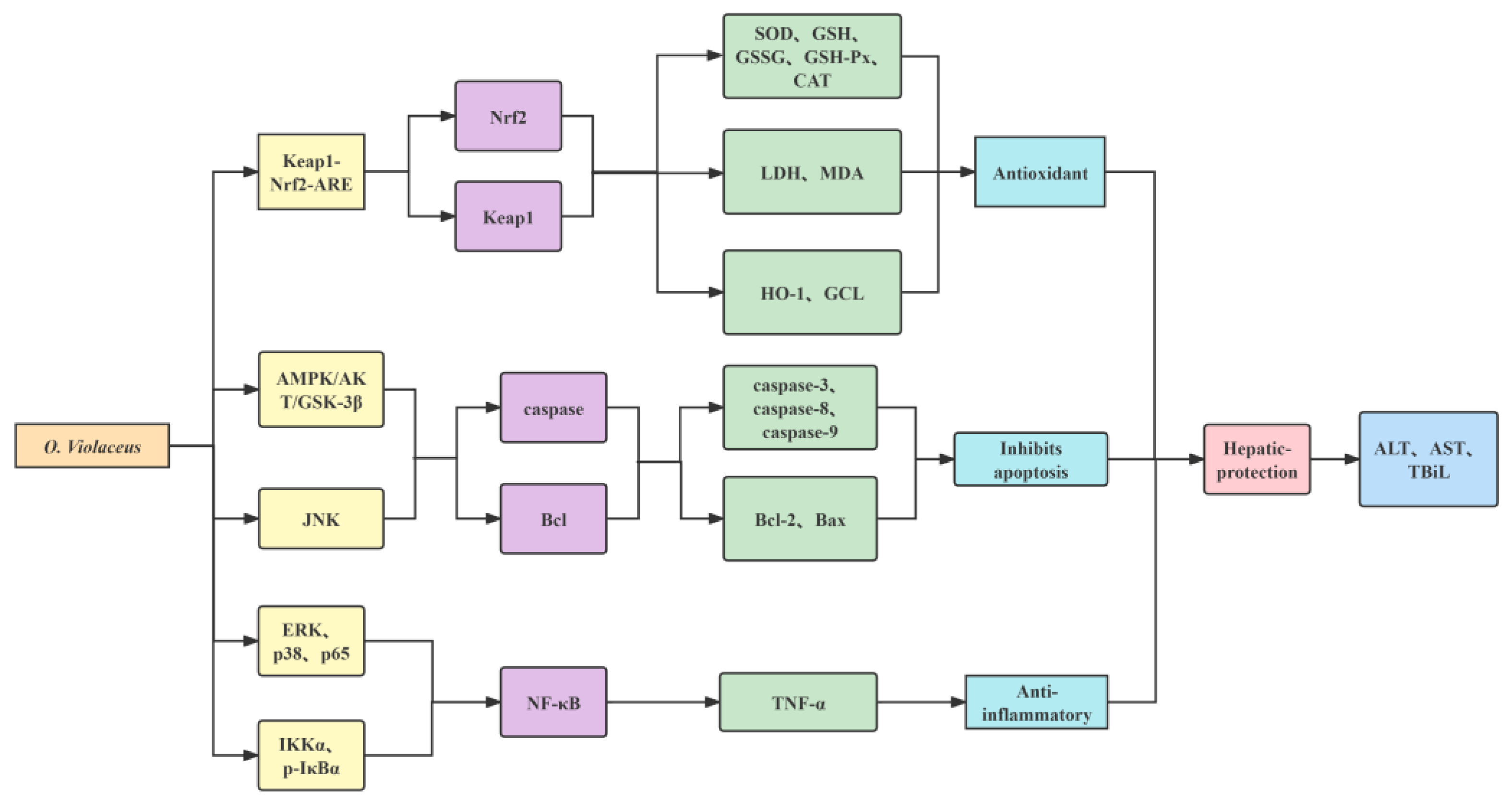 Molecules 29 01314 g009