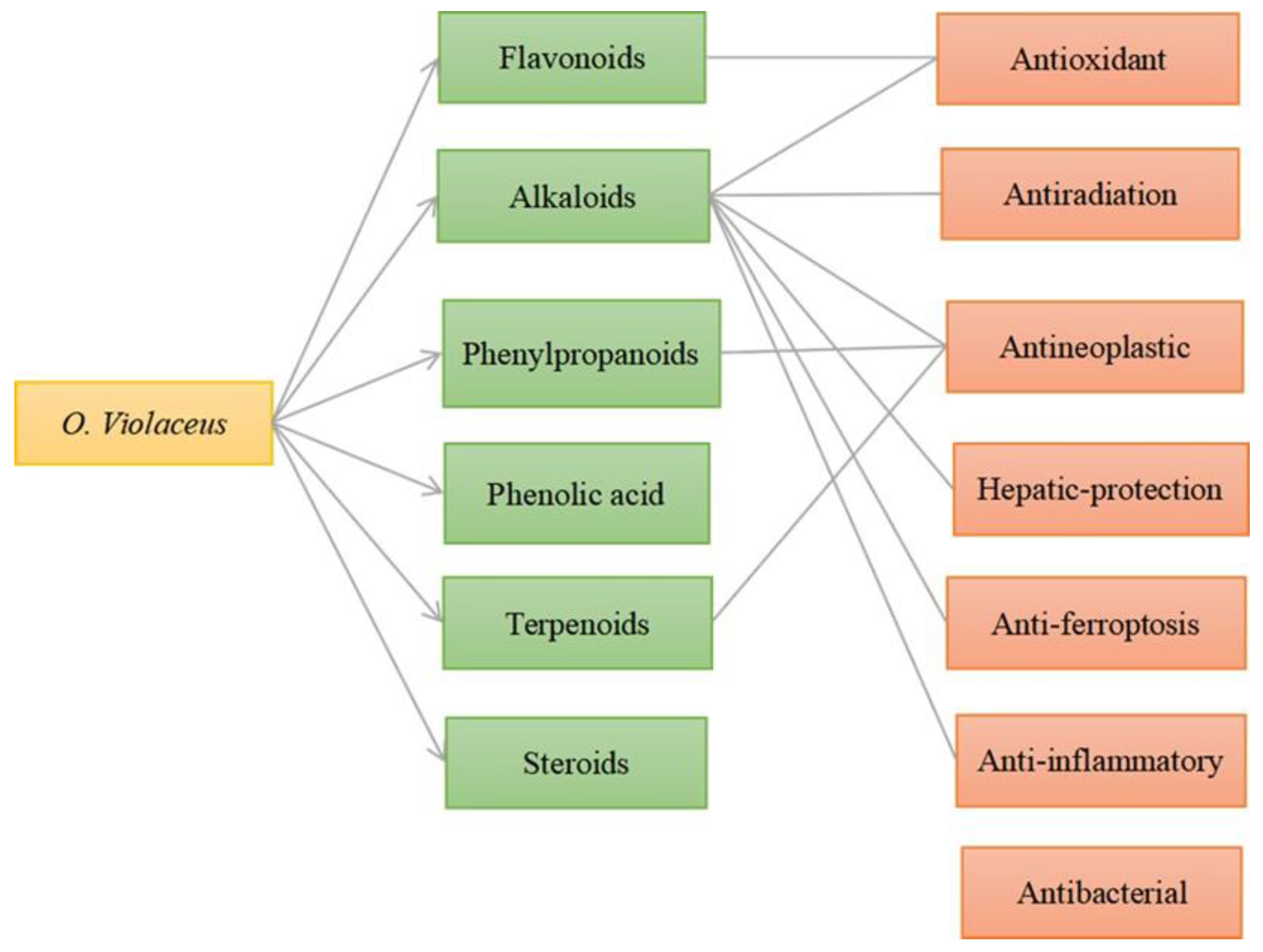 Molecules 29 01314 g010