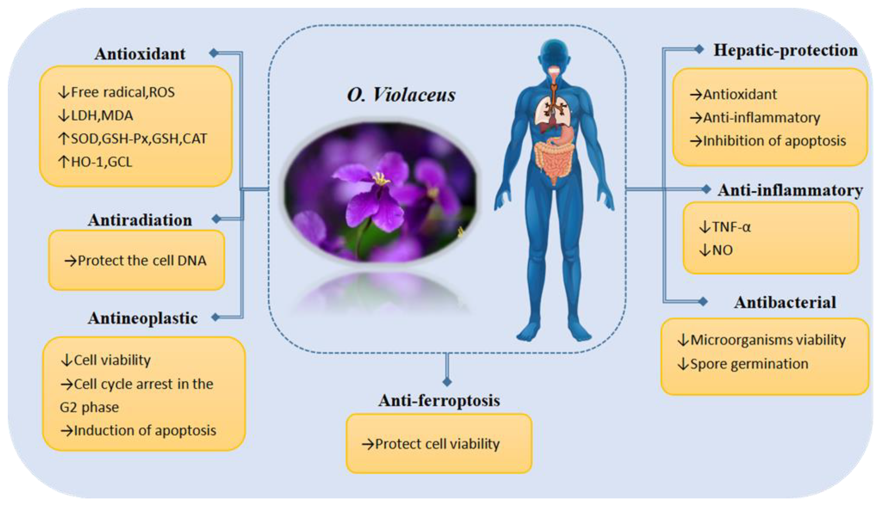 Molecules 29 01314 g011