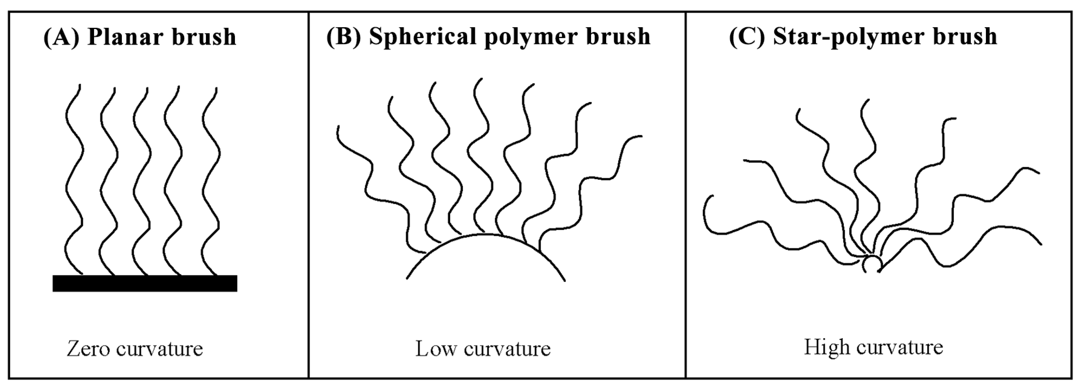 Molecules 29 01315 g003