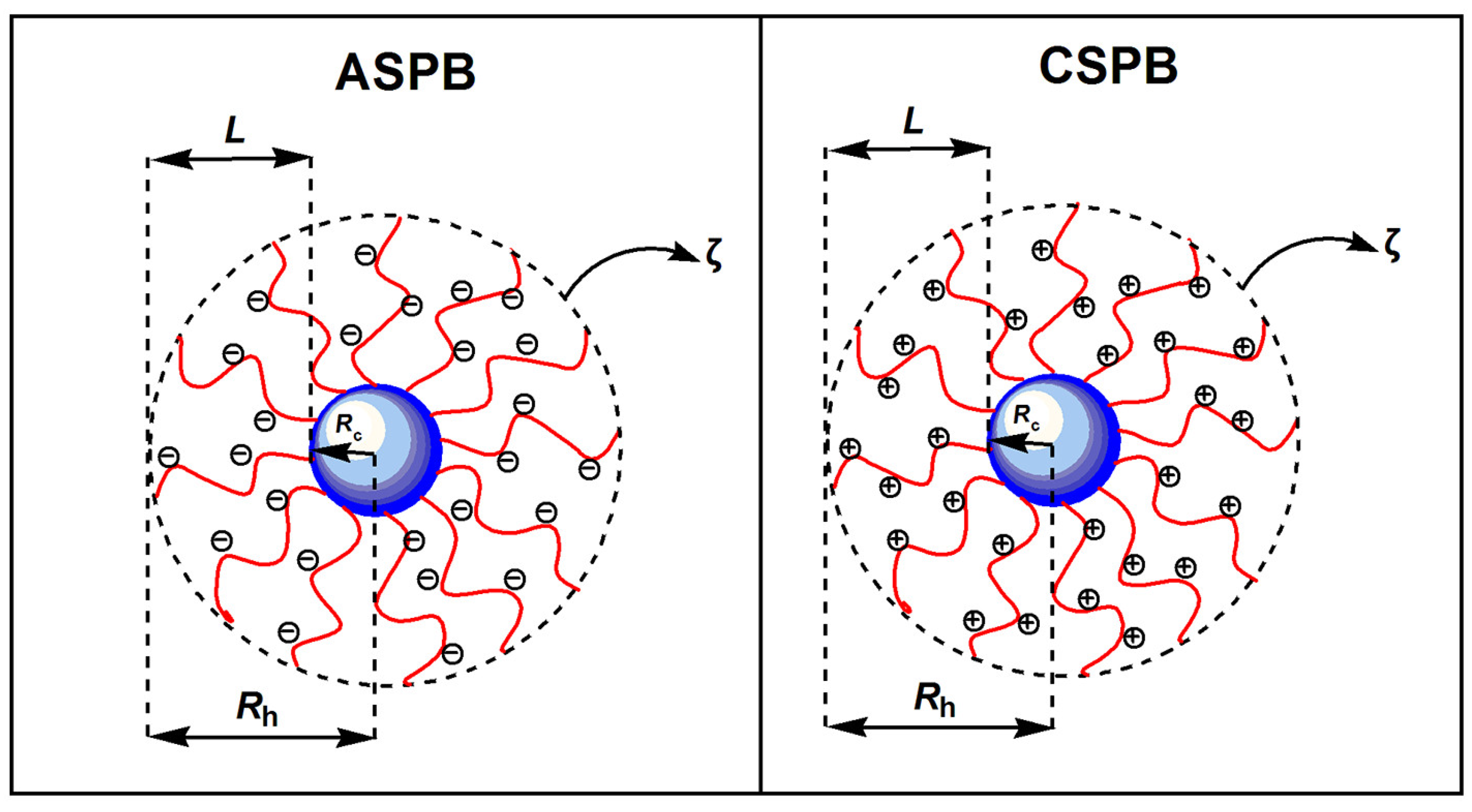 Molecules 29 01315 g004