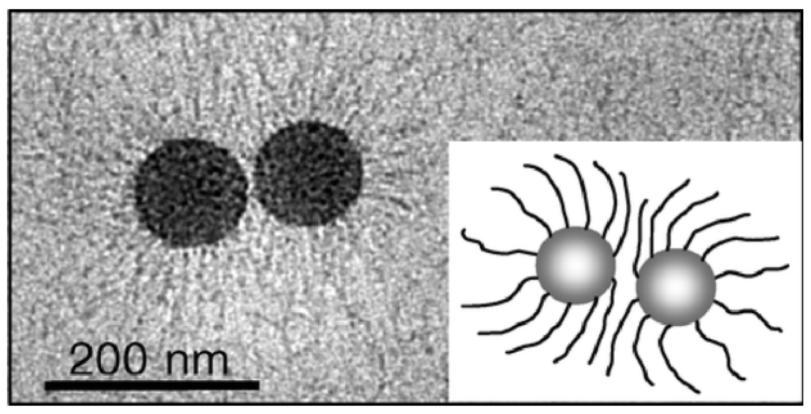 Molecules 29 01315 g006