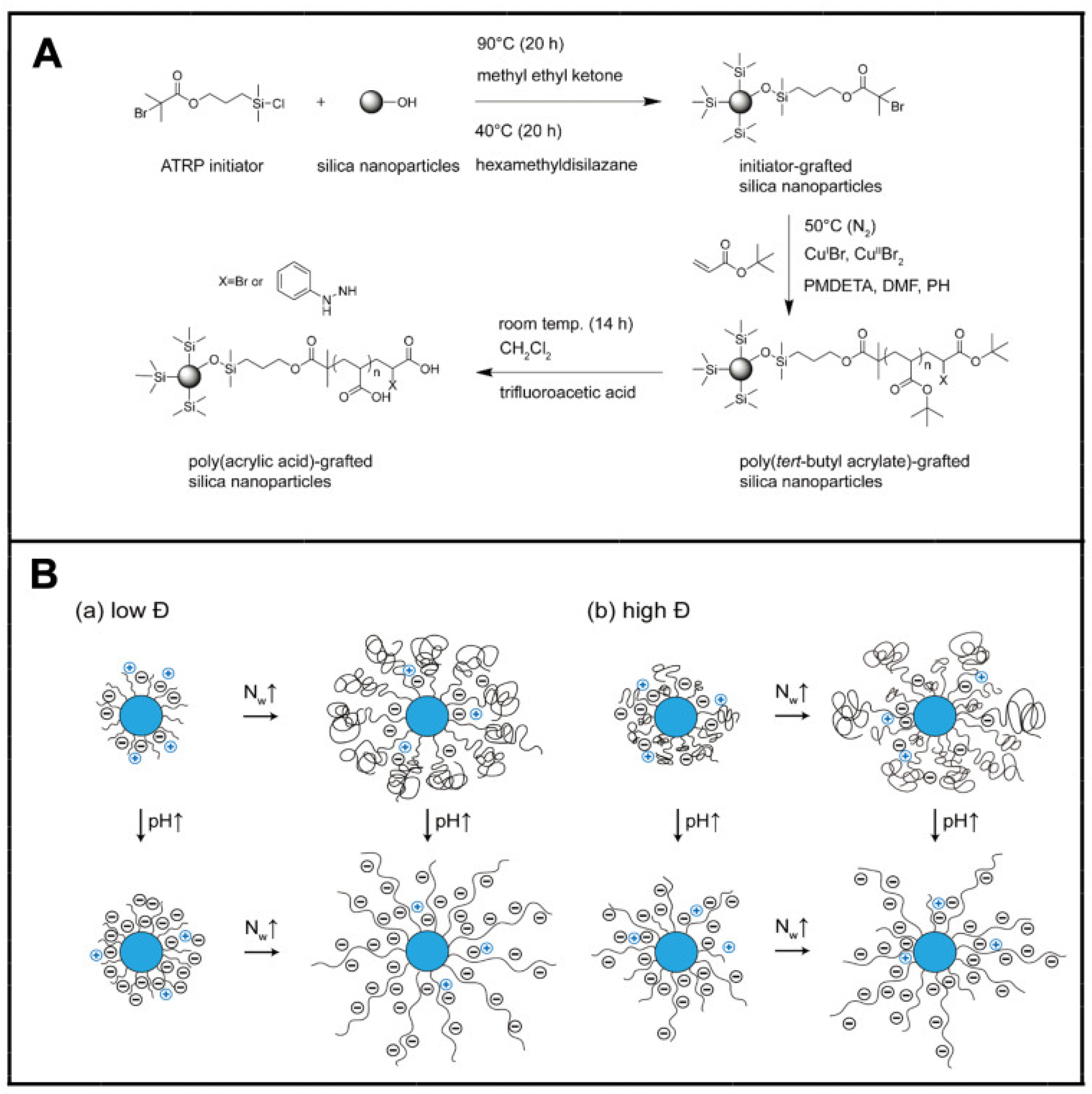 Molecules 29 01315 g007