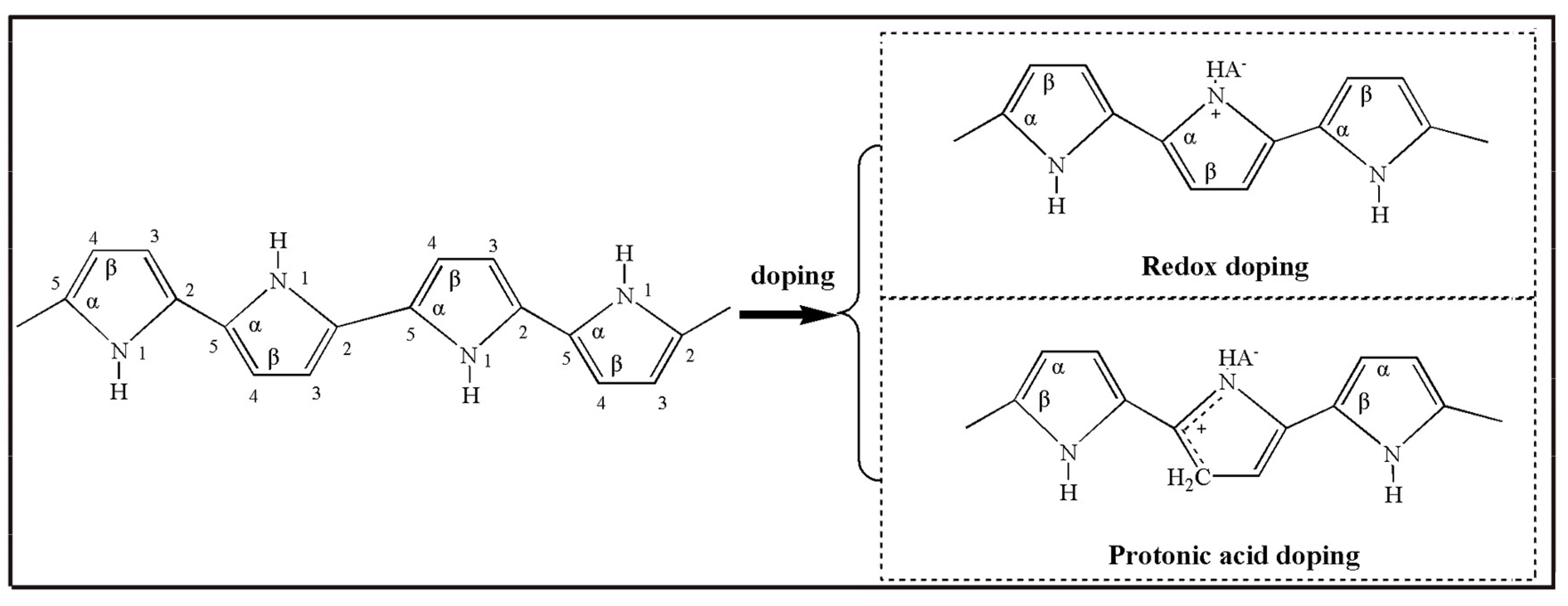 Molecules 29 01315 g012