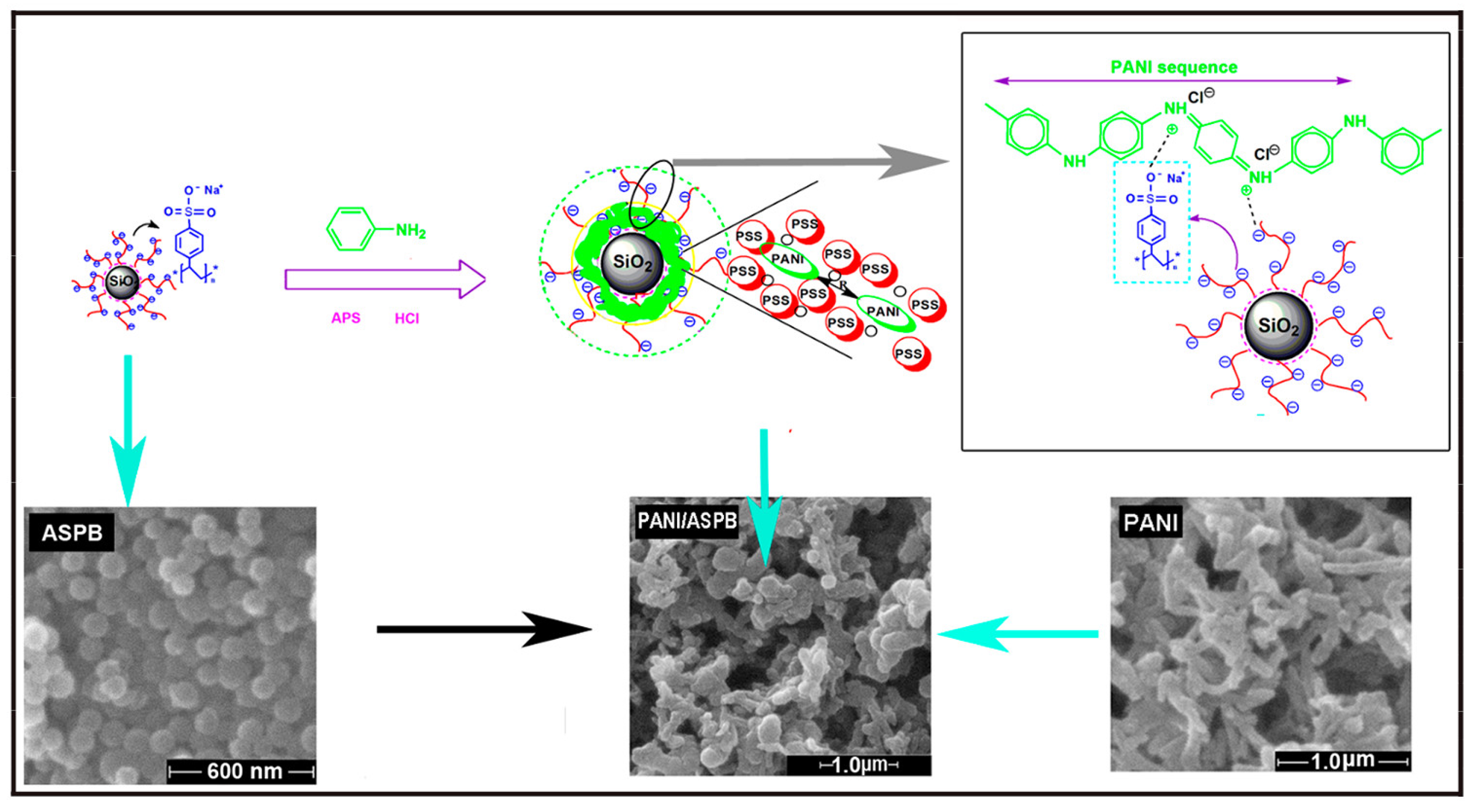 Molecules 29 01315 g017