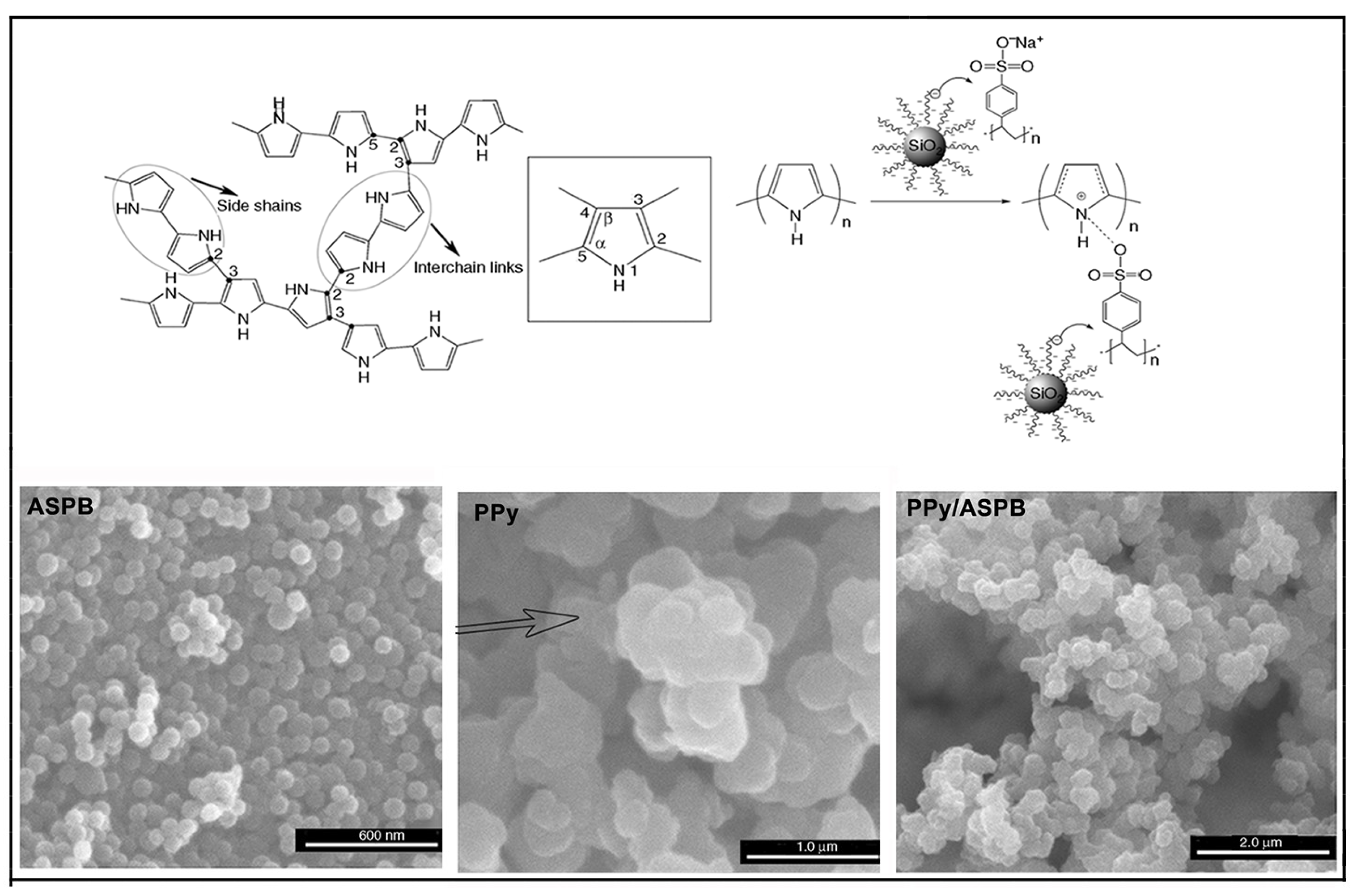 Molecules 29 01315 g018