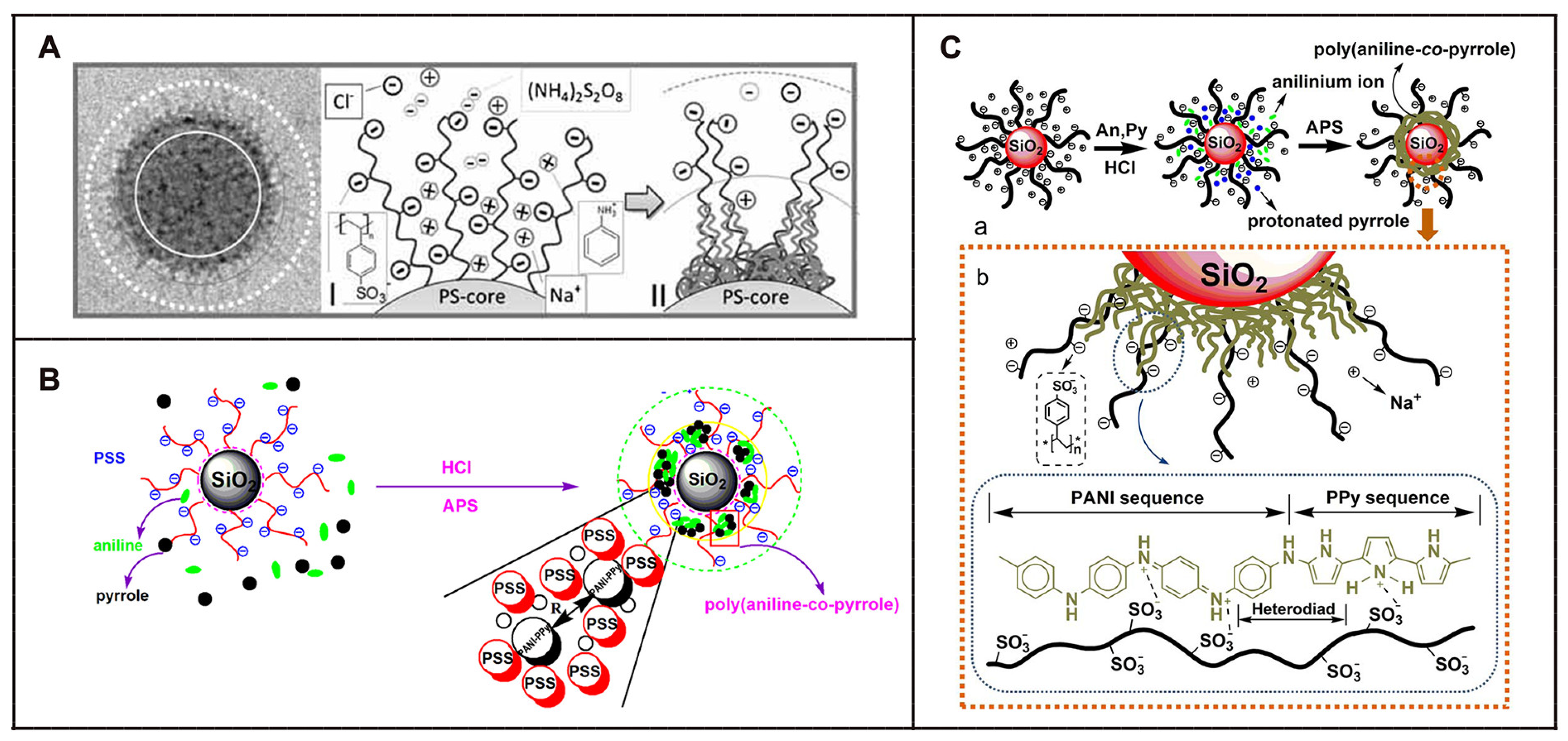 Molecules 29 01315 g019