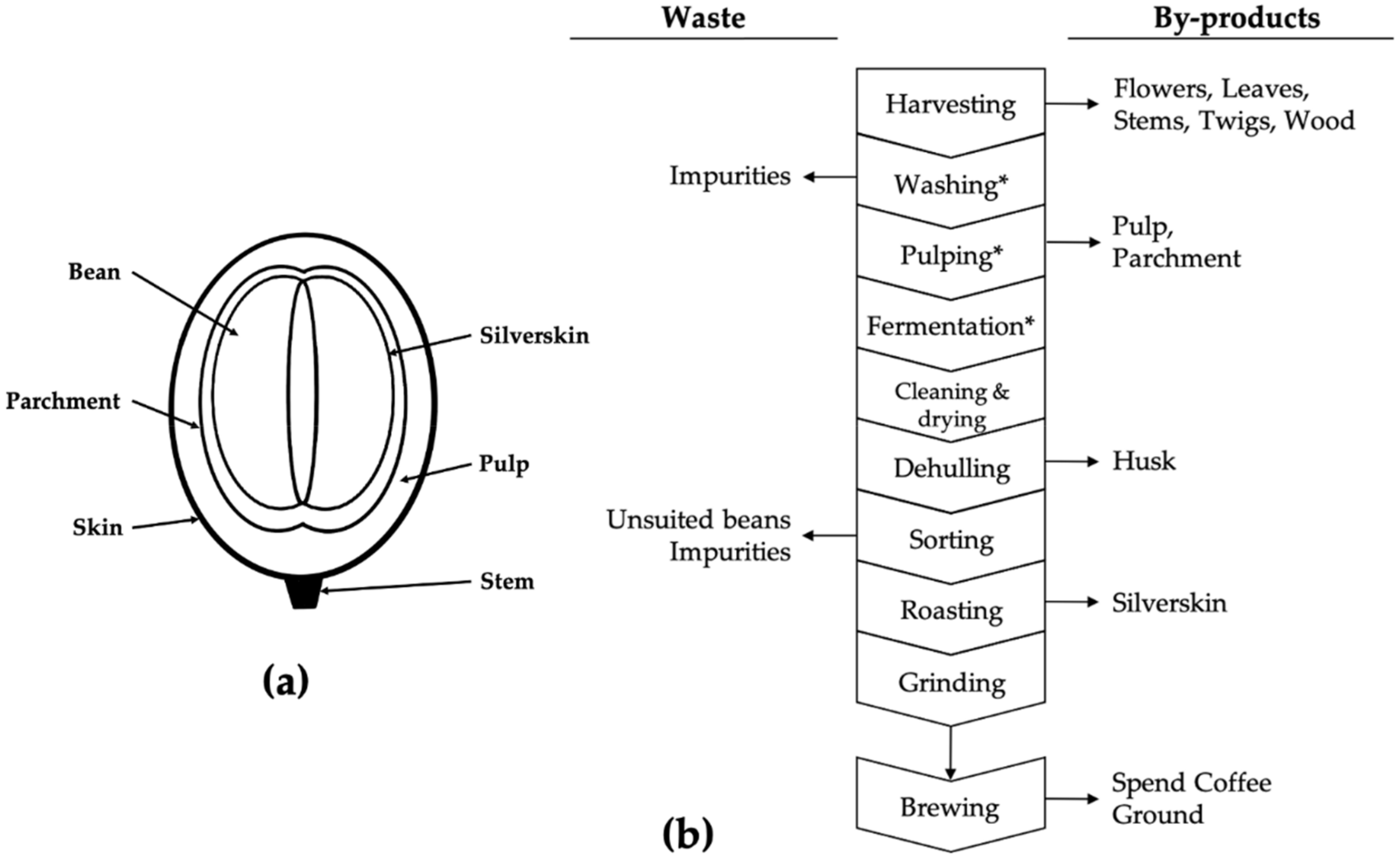 Molecules 29 01318 g001