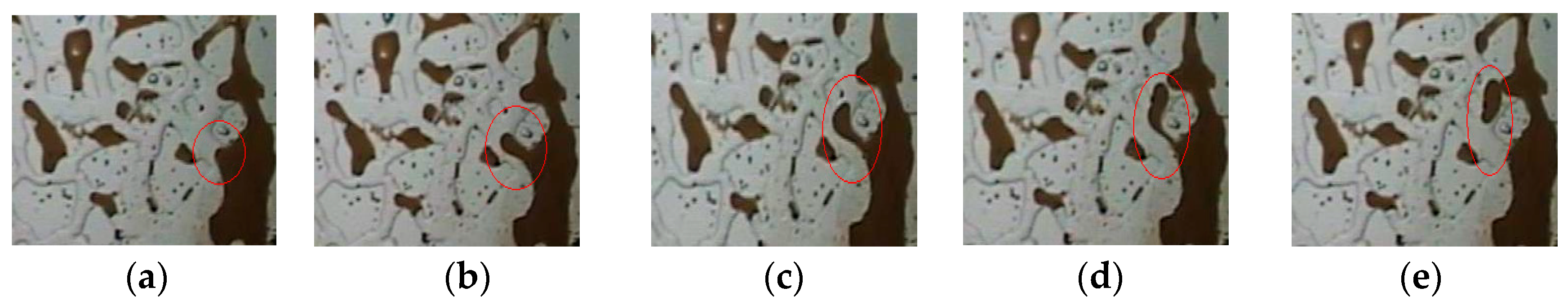 Molecules 29 01321 g004