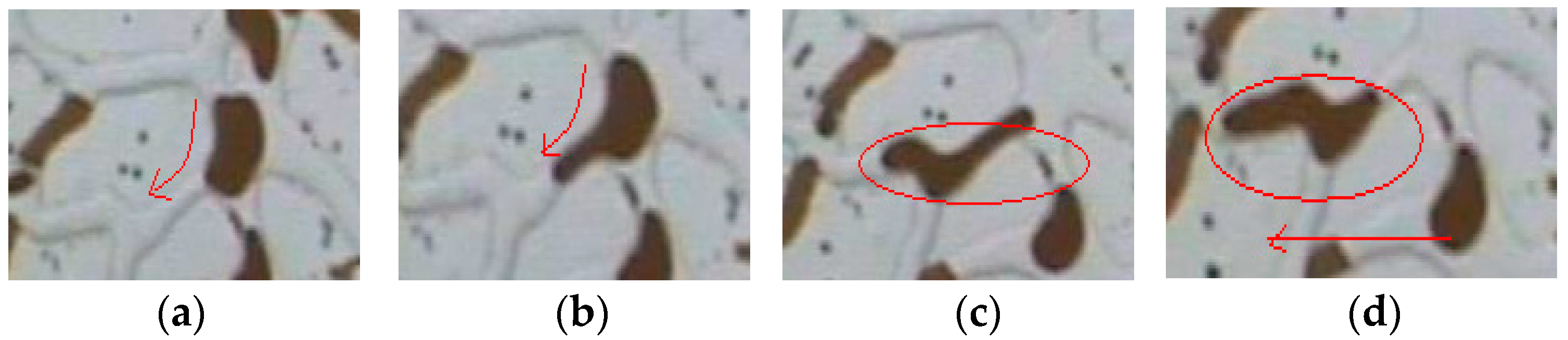 Molecules 29 01321 g006