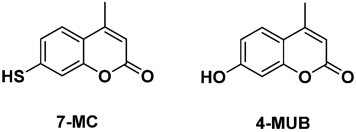Molecules 29 01322 g001