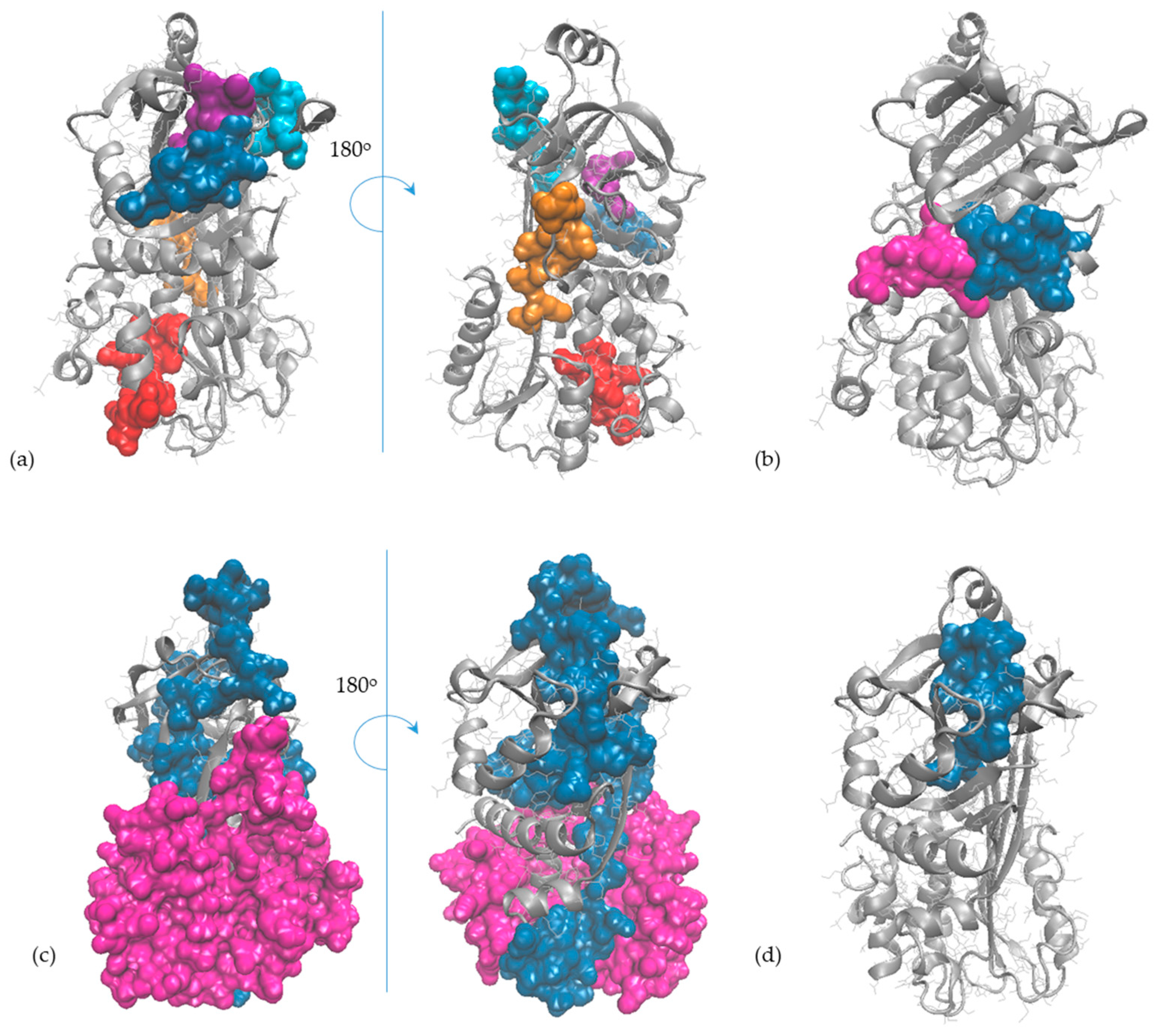 Molecules 29 01327 g005