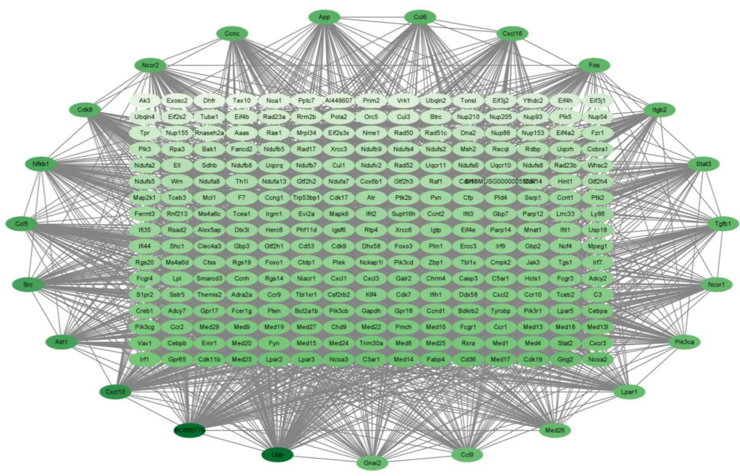 Molecules 29 01329 g007