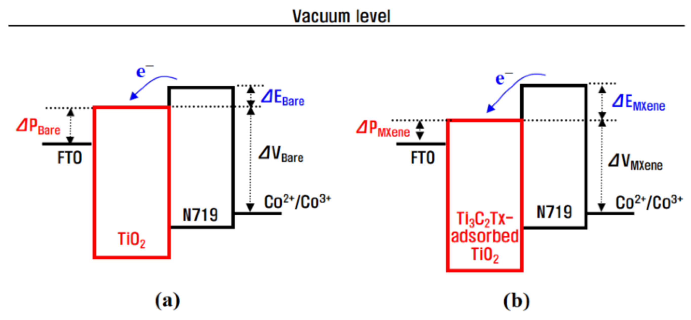 Molecules 29 01340 g005
