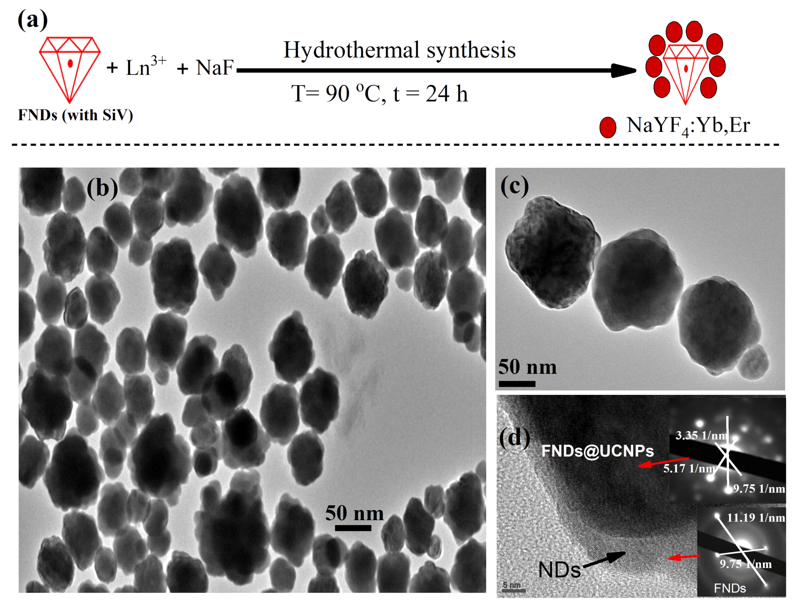 Molecules 29 01350 g001