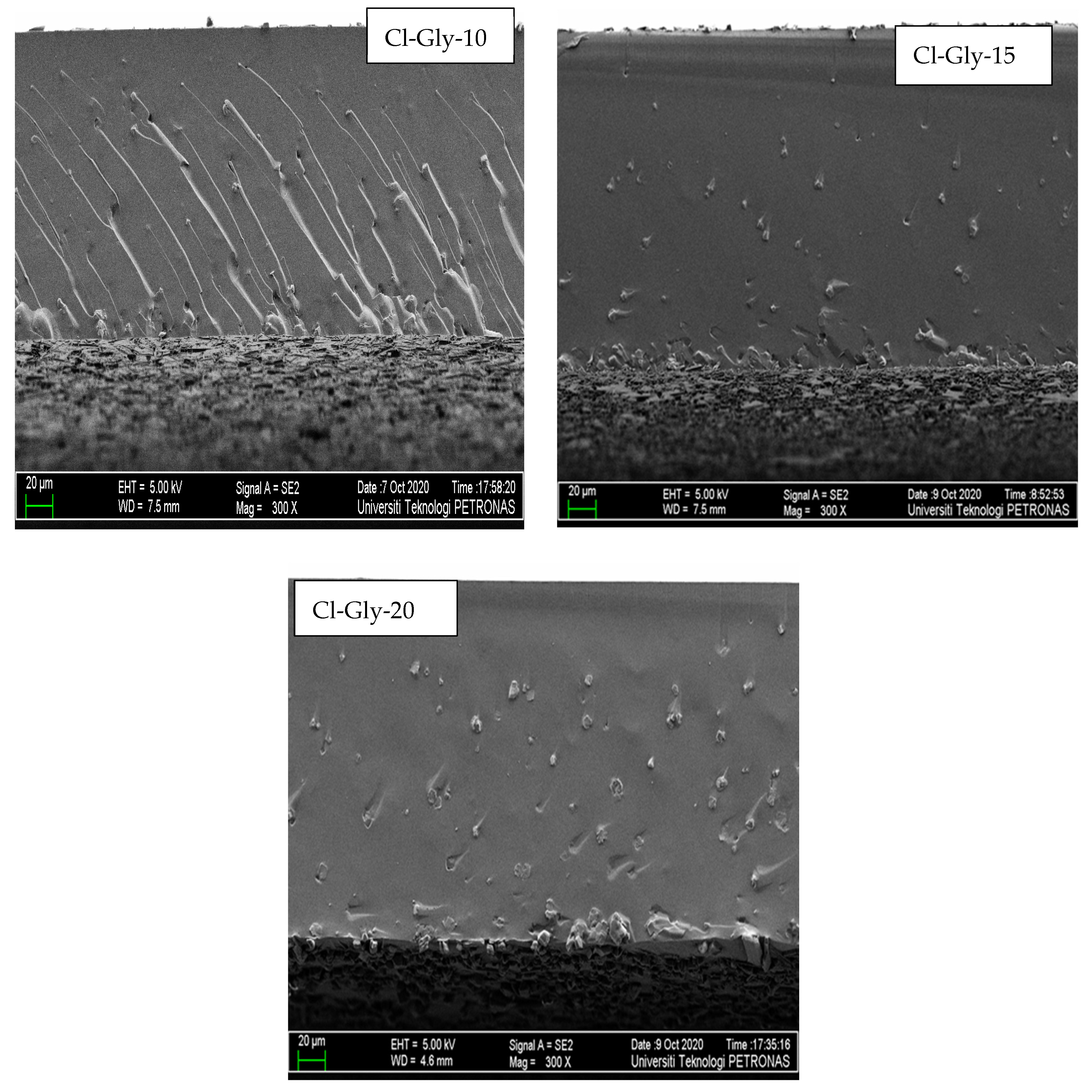 Molecules 29 01357 g005b