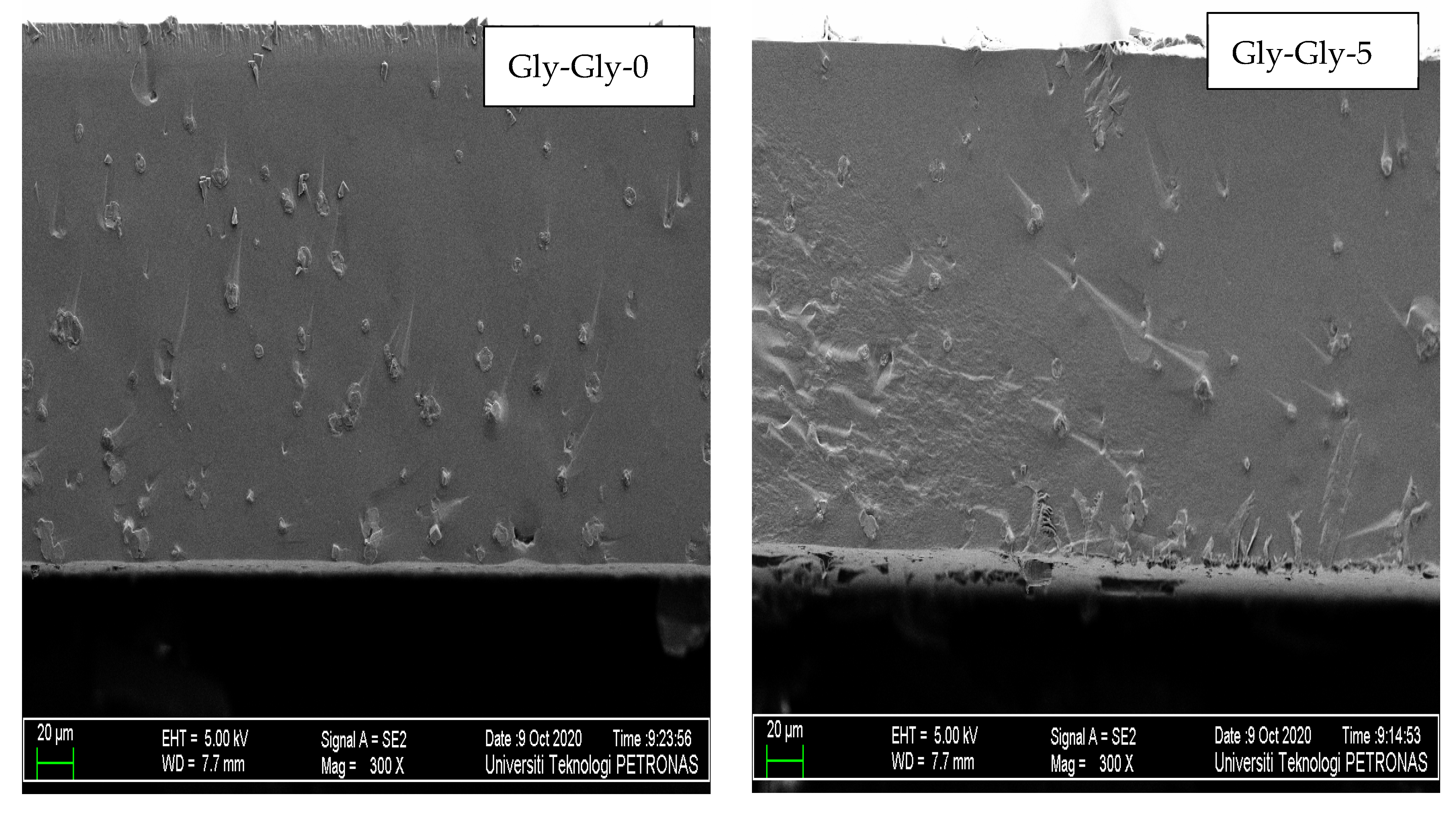 Molecules 29 01357 g006a