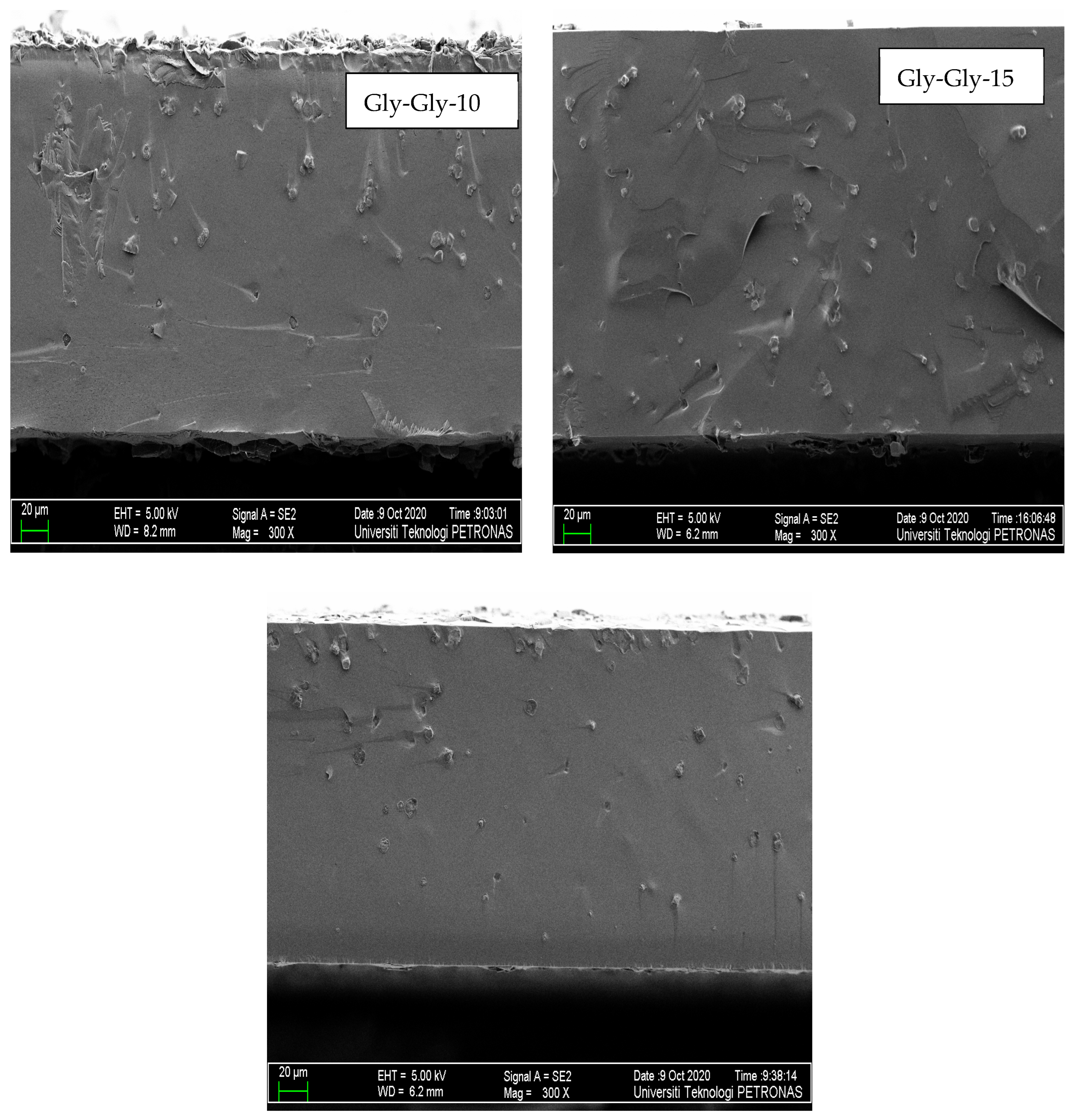 Molecules 29 01357 g006b