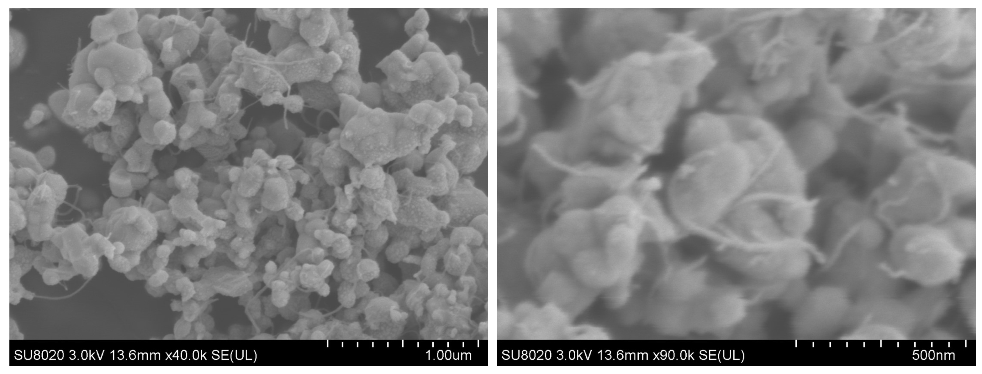 Molecules 29 01365 g003